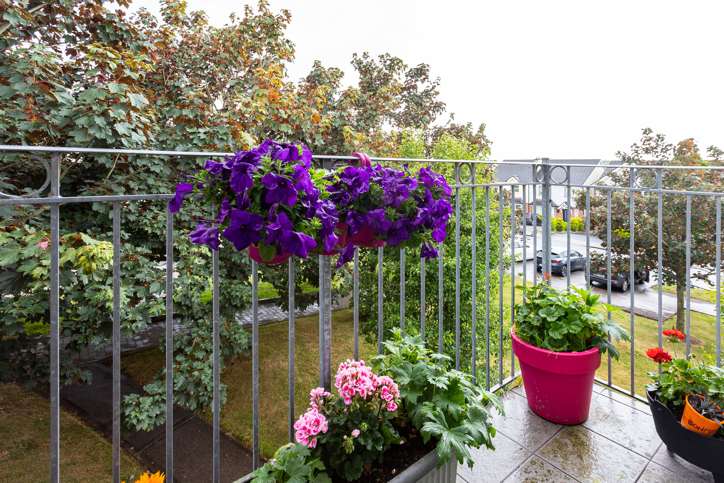 Photo: Niamh Whitty/www.pictureitsold.ie