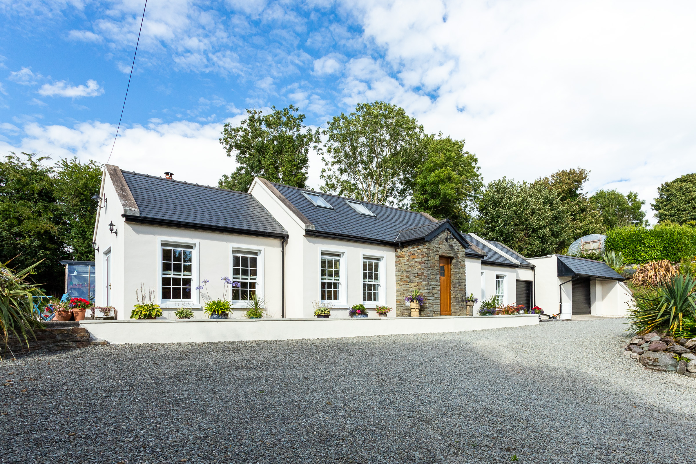 Photo: Niamh Whitty/www.pictureitsold.ie