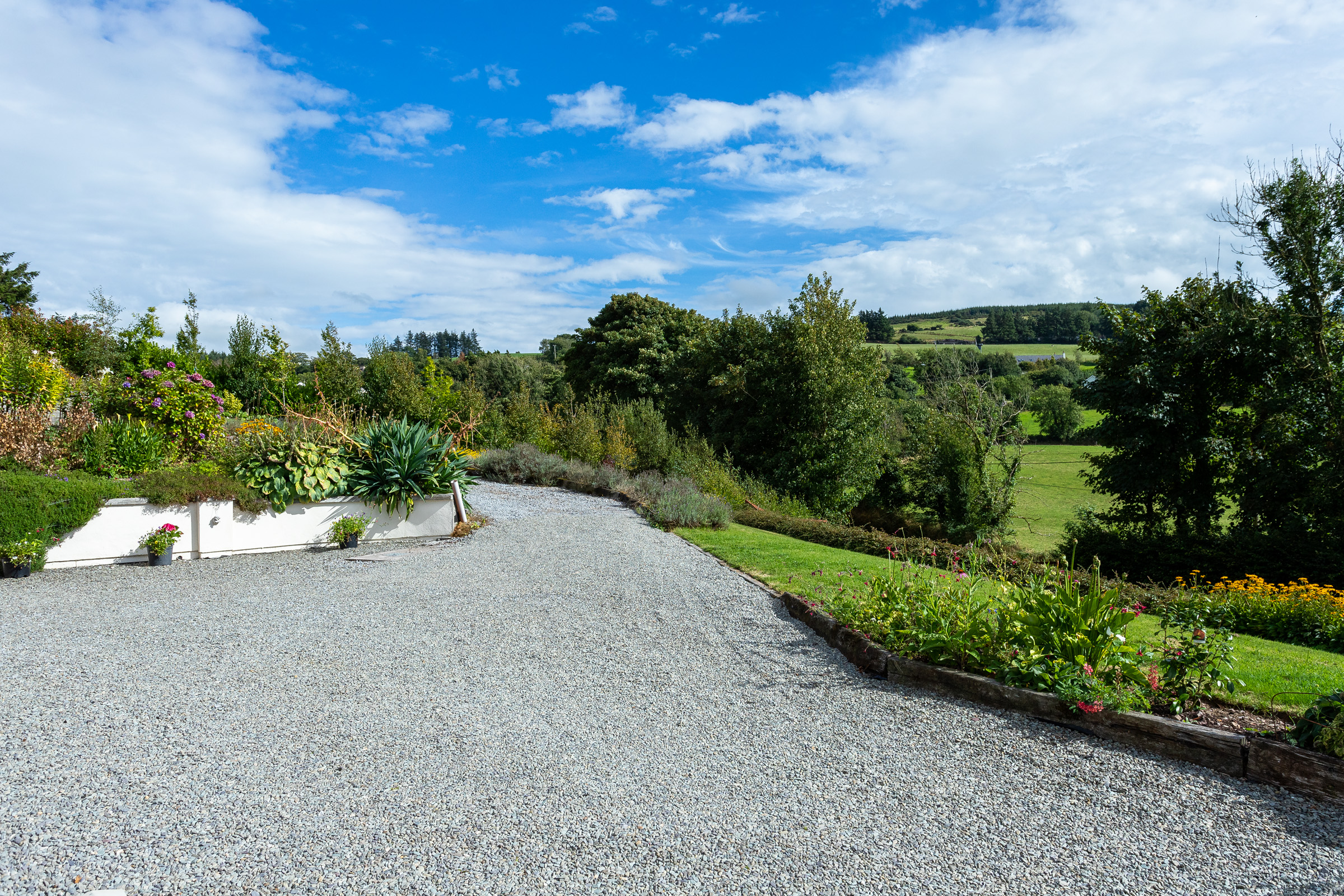 Photo: Niamh Whitty/www.pictureitsold.ie