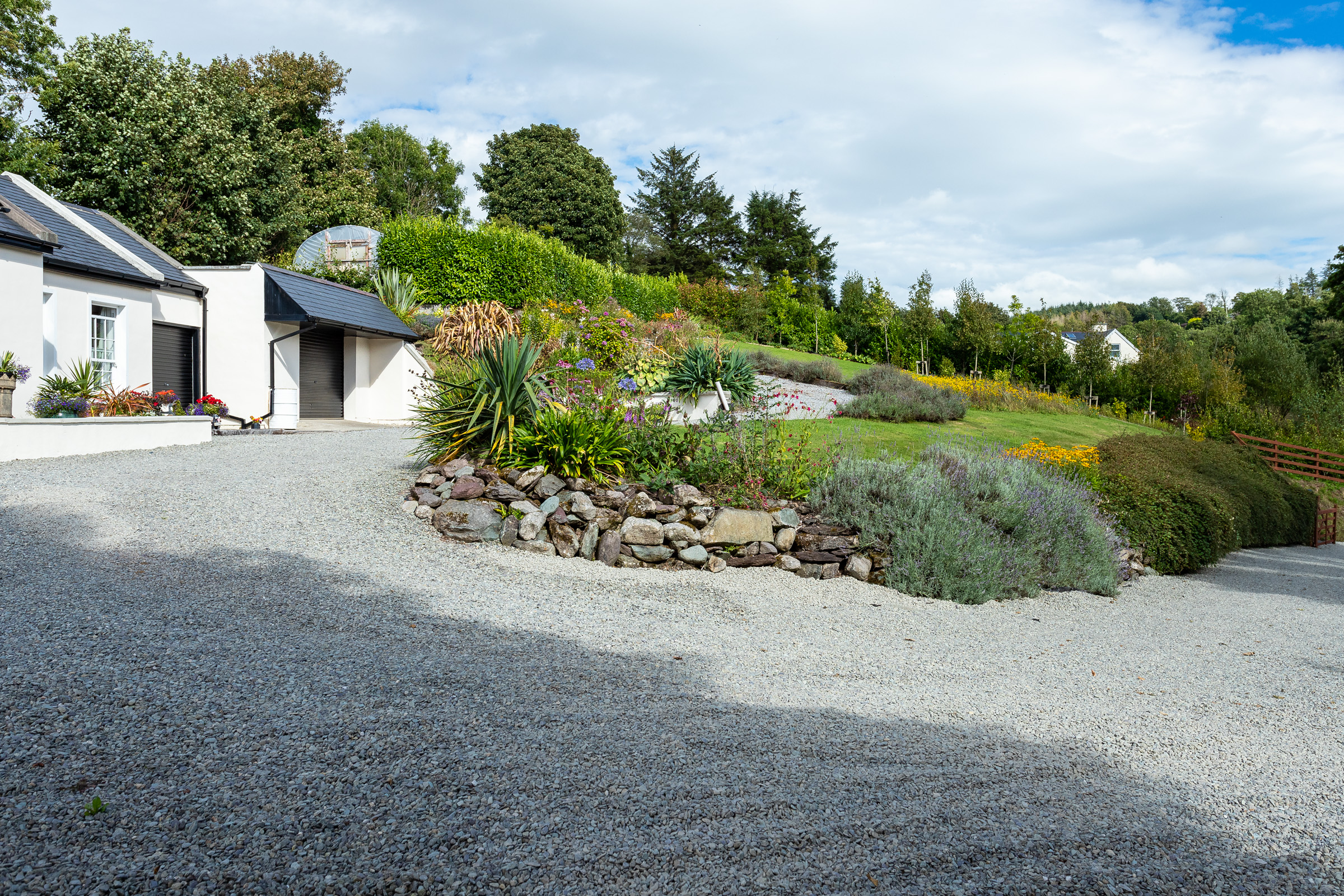 Photo: Niamh Whitty/www.pictureitsold.ie