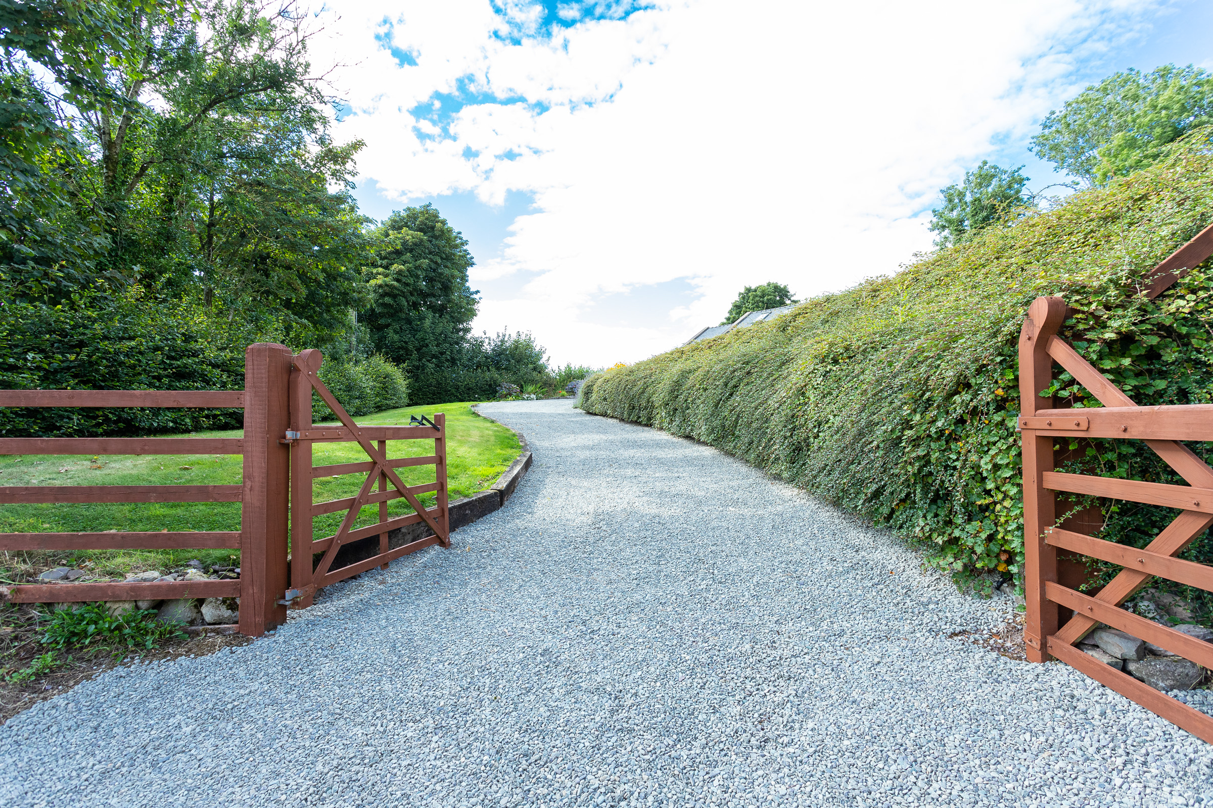 Photo: Niamh Whitty/www.pictureitsold.ie