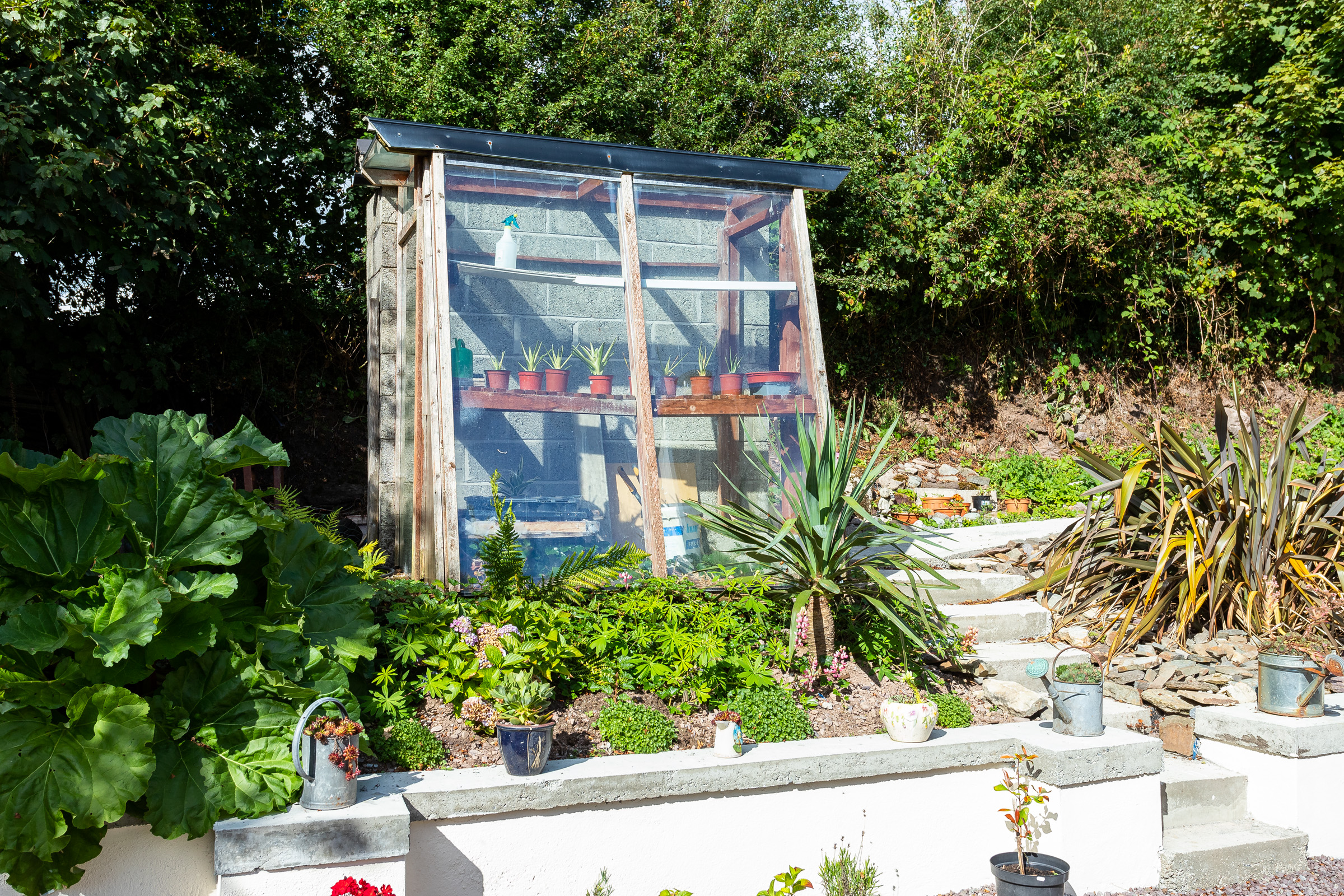 Photo: Niamh Whitty/www.pictureitsold.ie