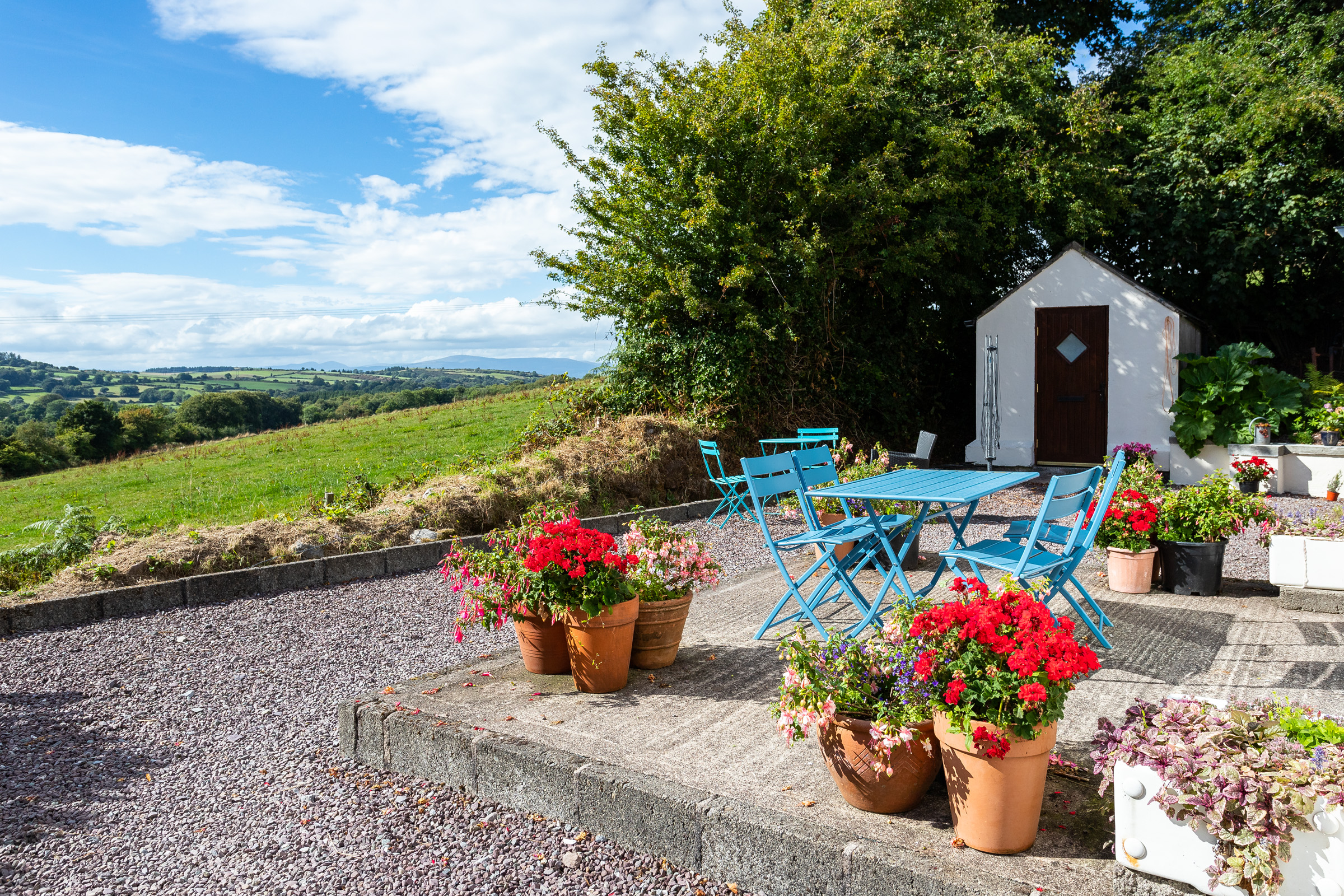 Photo: Niamh Whitty/www.pictureitsold.ie