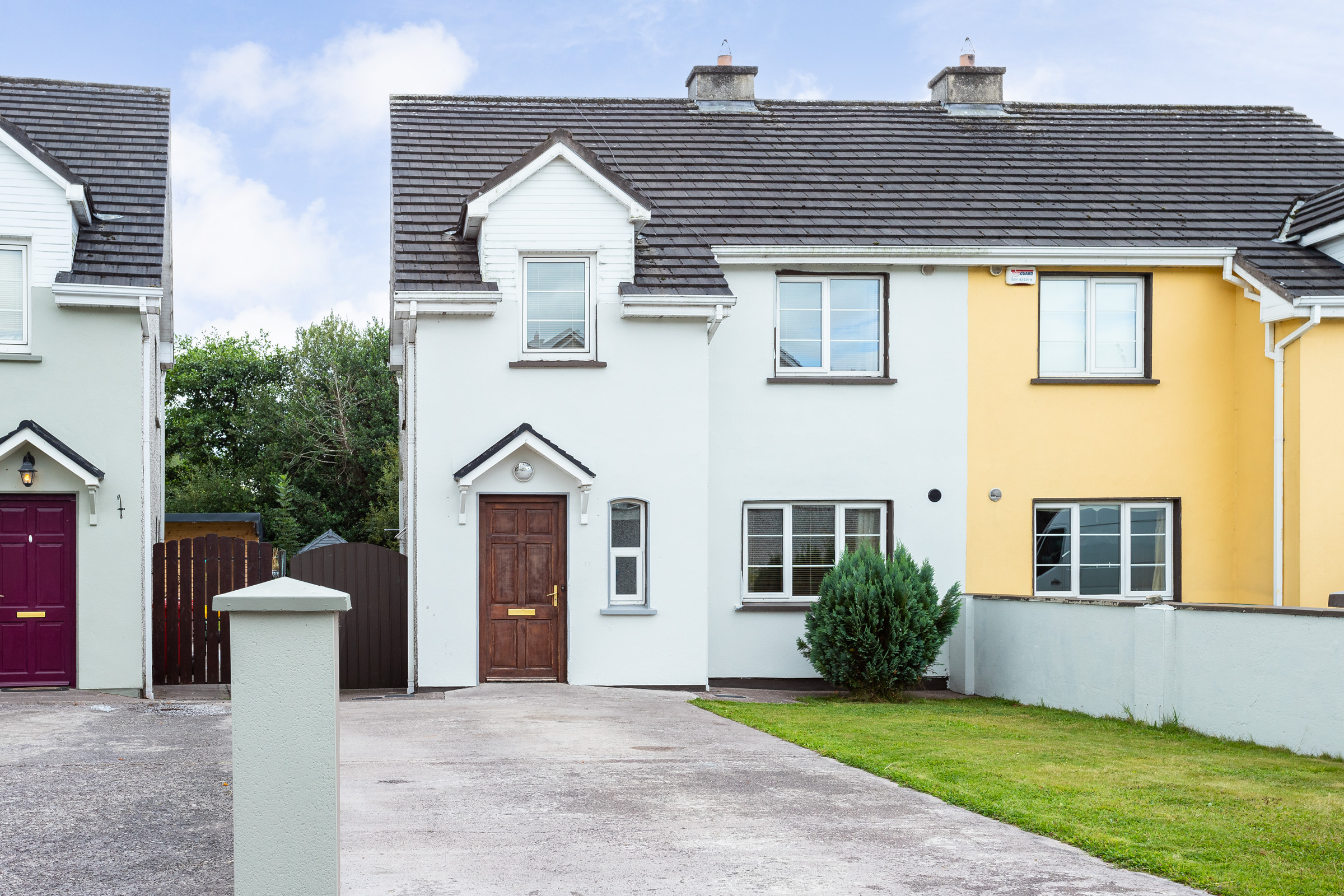 Photo: Niamh Whitty/www.pictureitsold.ie