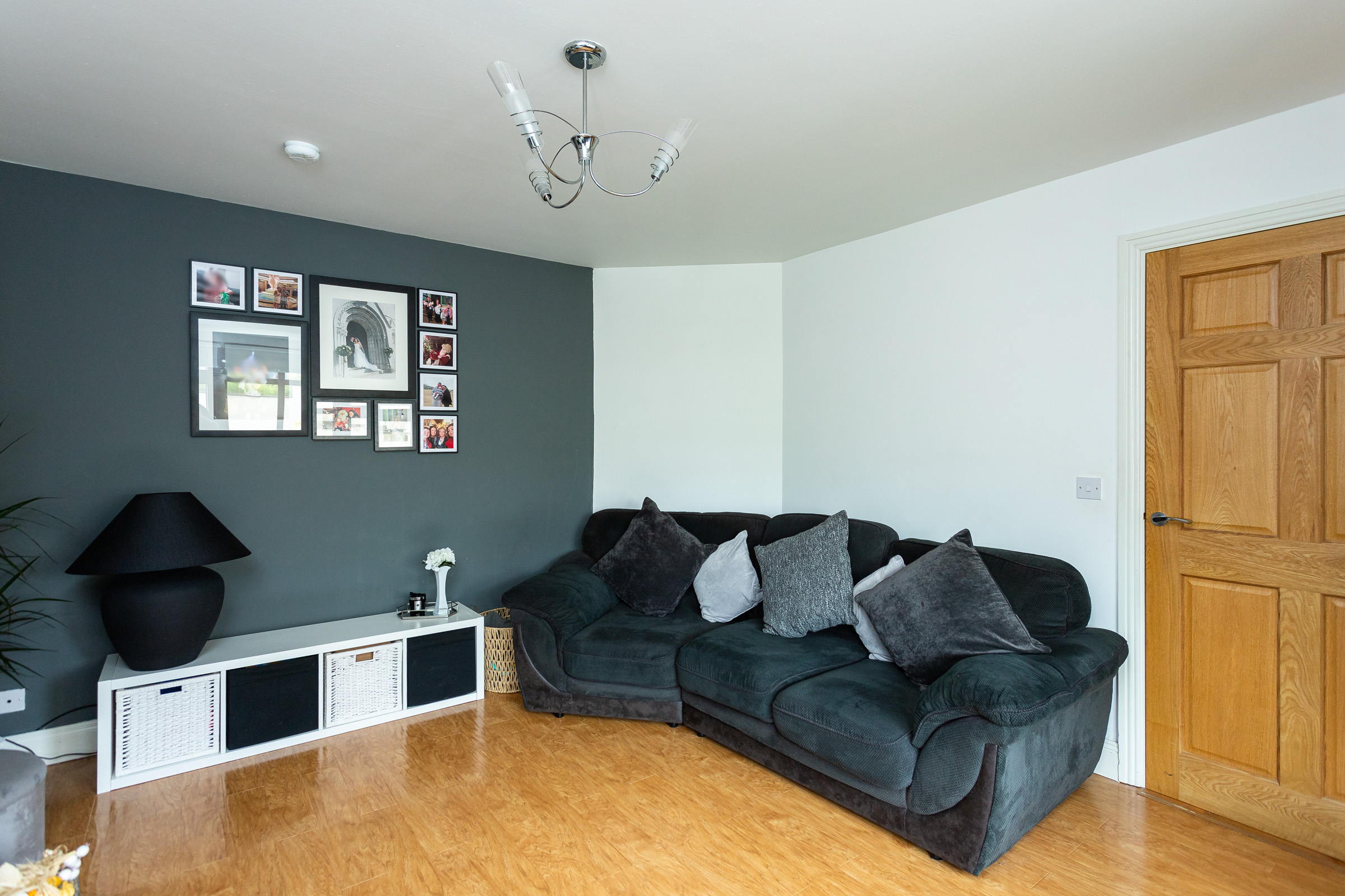 Photo: Niamh Whitty/www.pictureitsold.ie