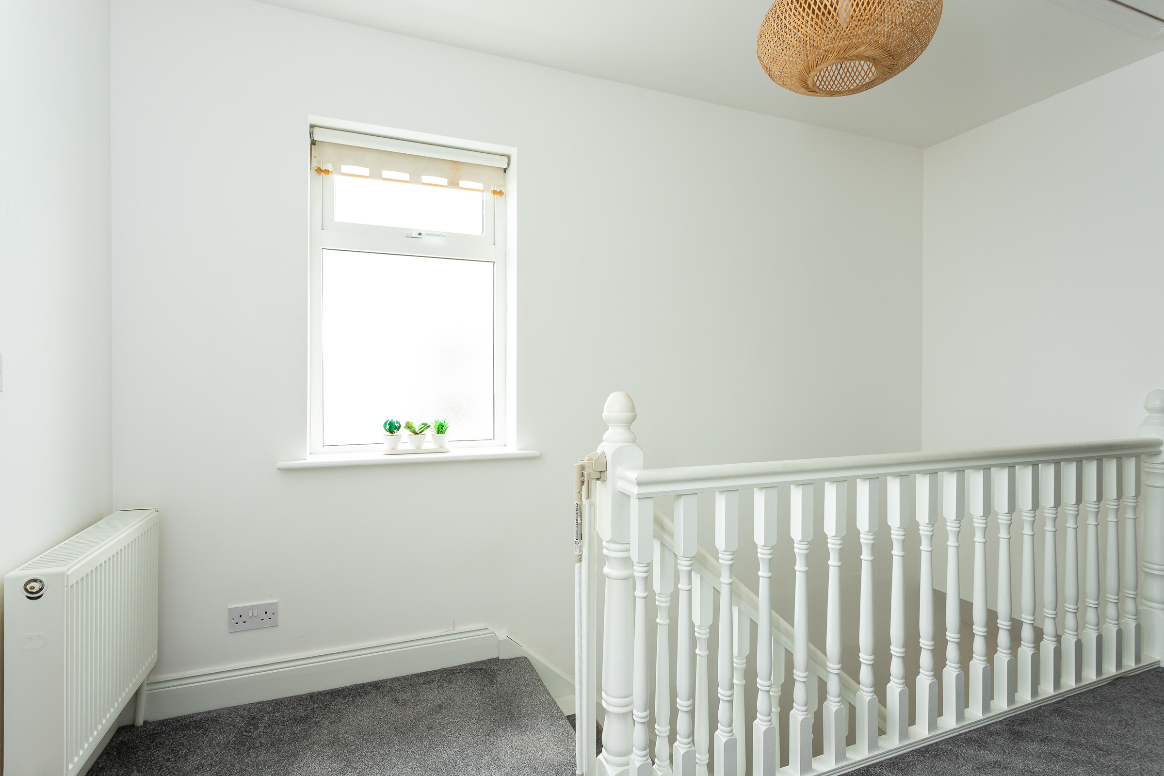 Photo: Niamh Whitty/www.pictureitsold.ie
