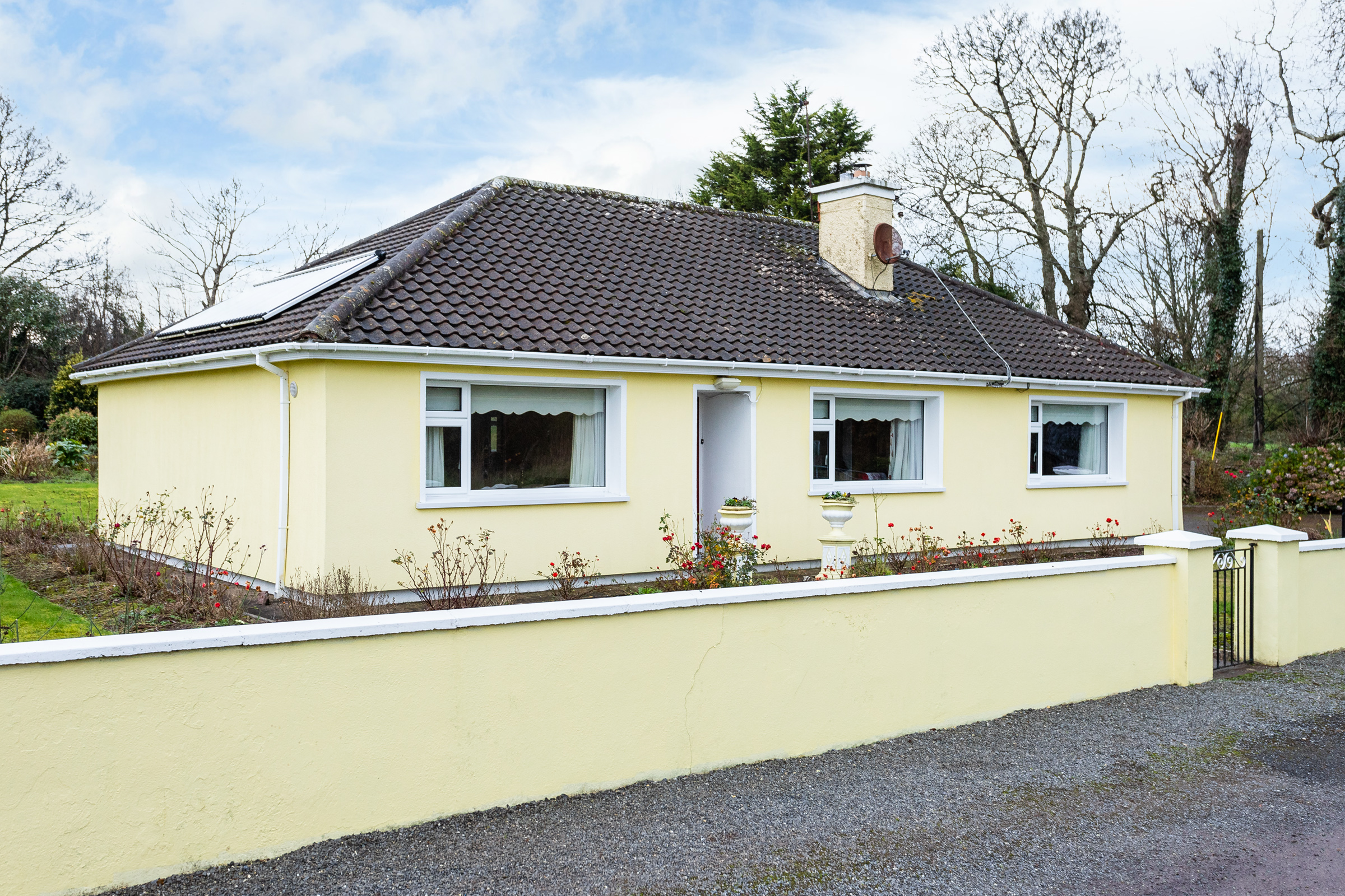 Photo: Niamh Whitty/www.pictureitsold.ie