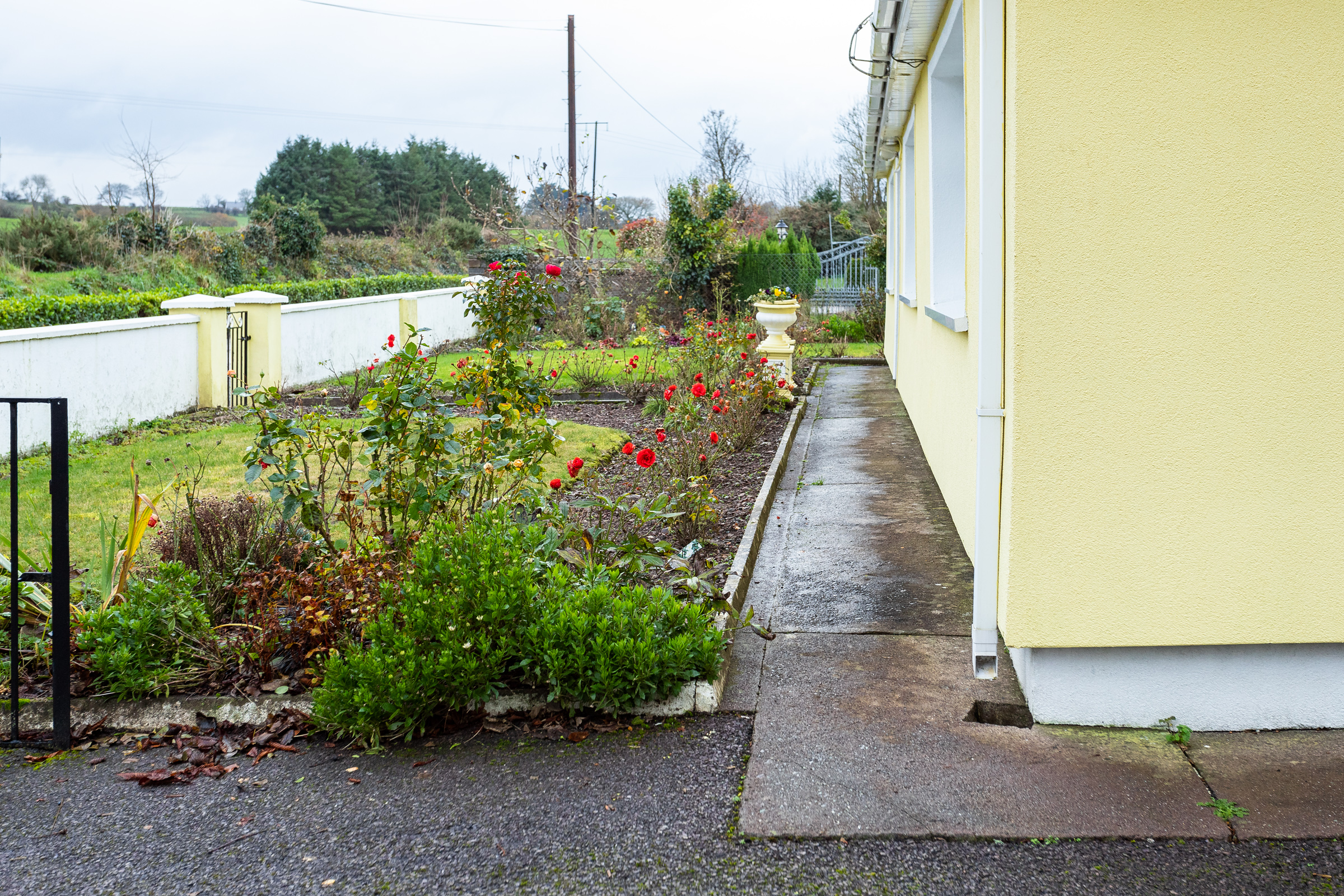 Photo: Niamh Whitty/www.pictureitsold.ie