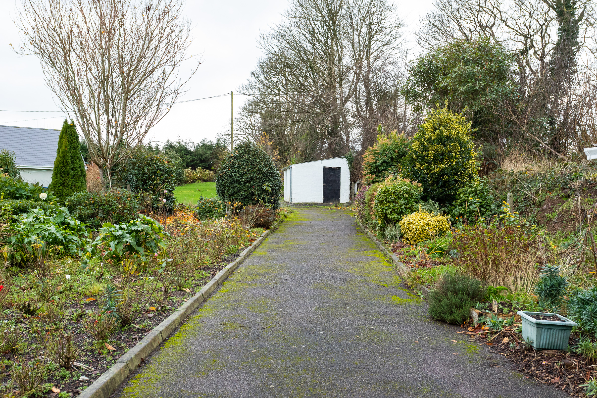 Photo: Niamh Whitty/www.pictureitsold.ie