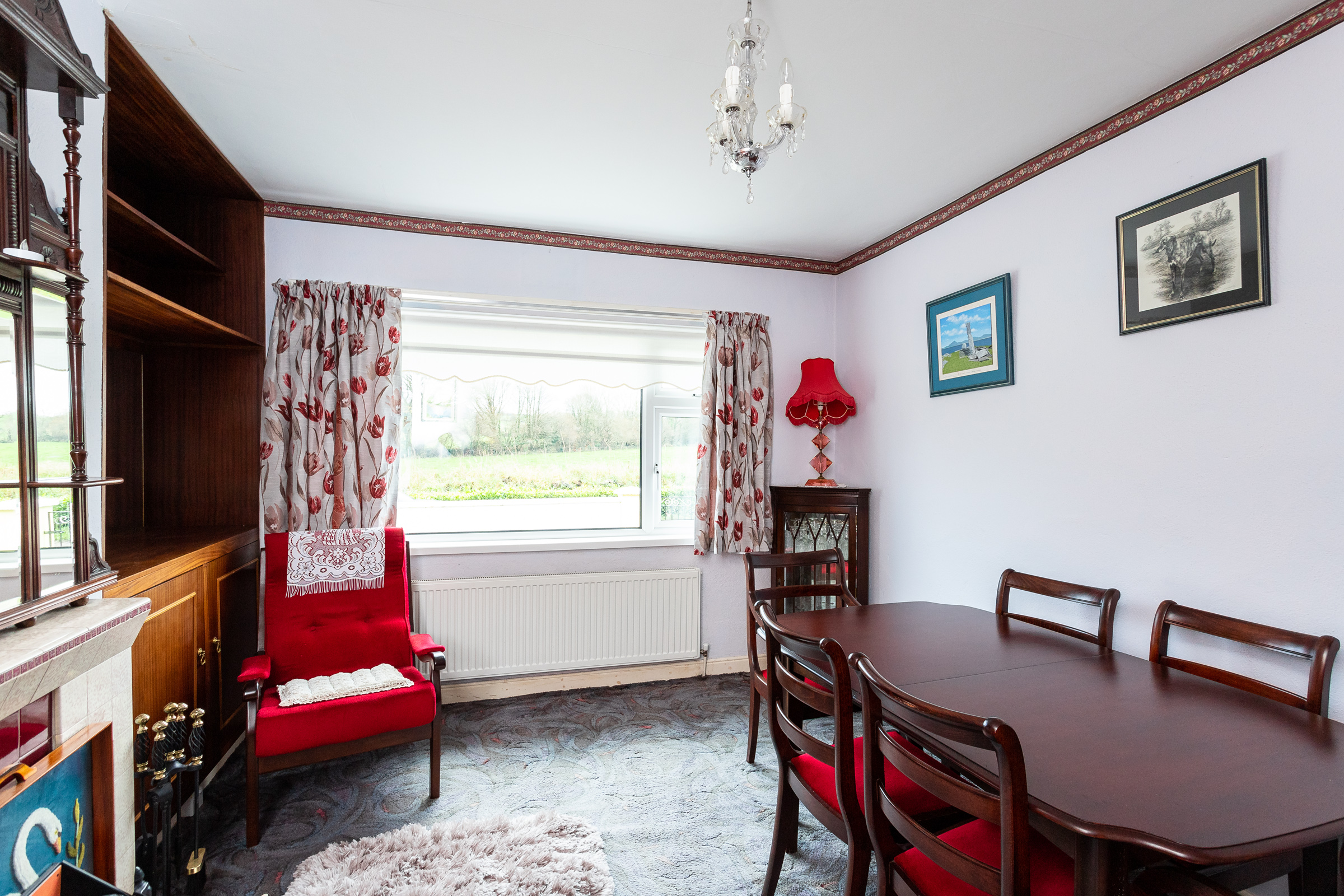 Photo: Niamh Whitty/www.pictureitsold.ie