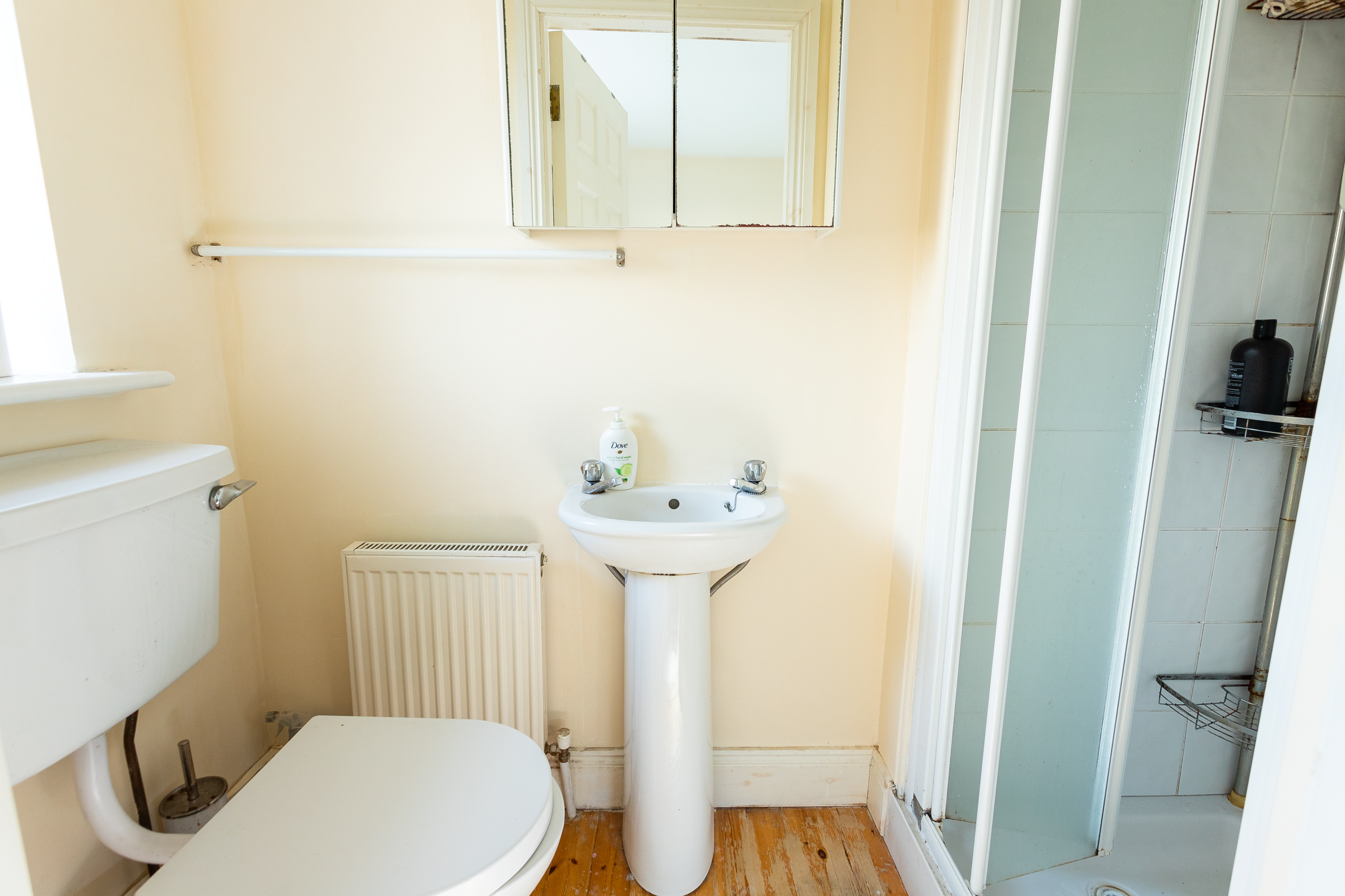 Photo: Niamh Whitty/www.pictureitsold.ie