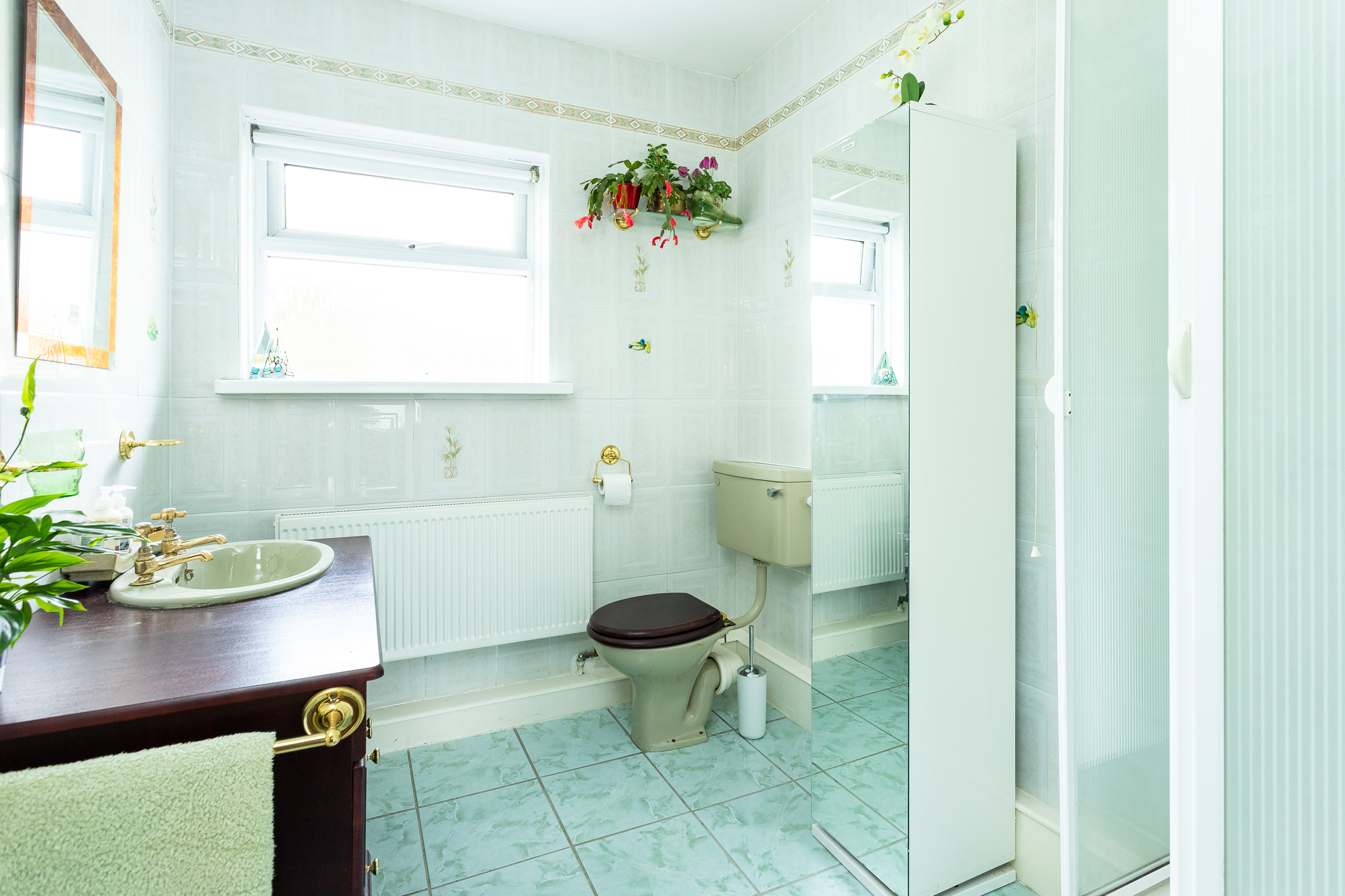 Photo: Niamh Whitty/www.pictureitsold.ie
