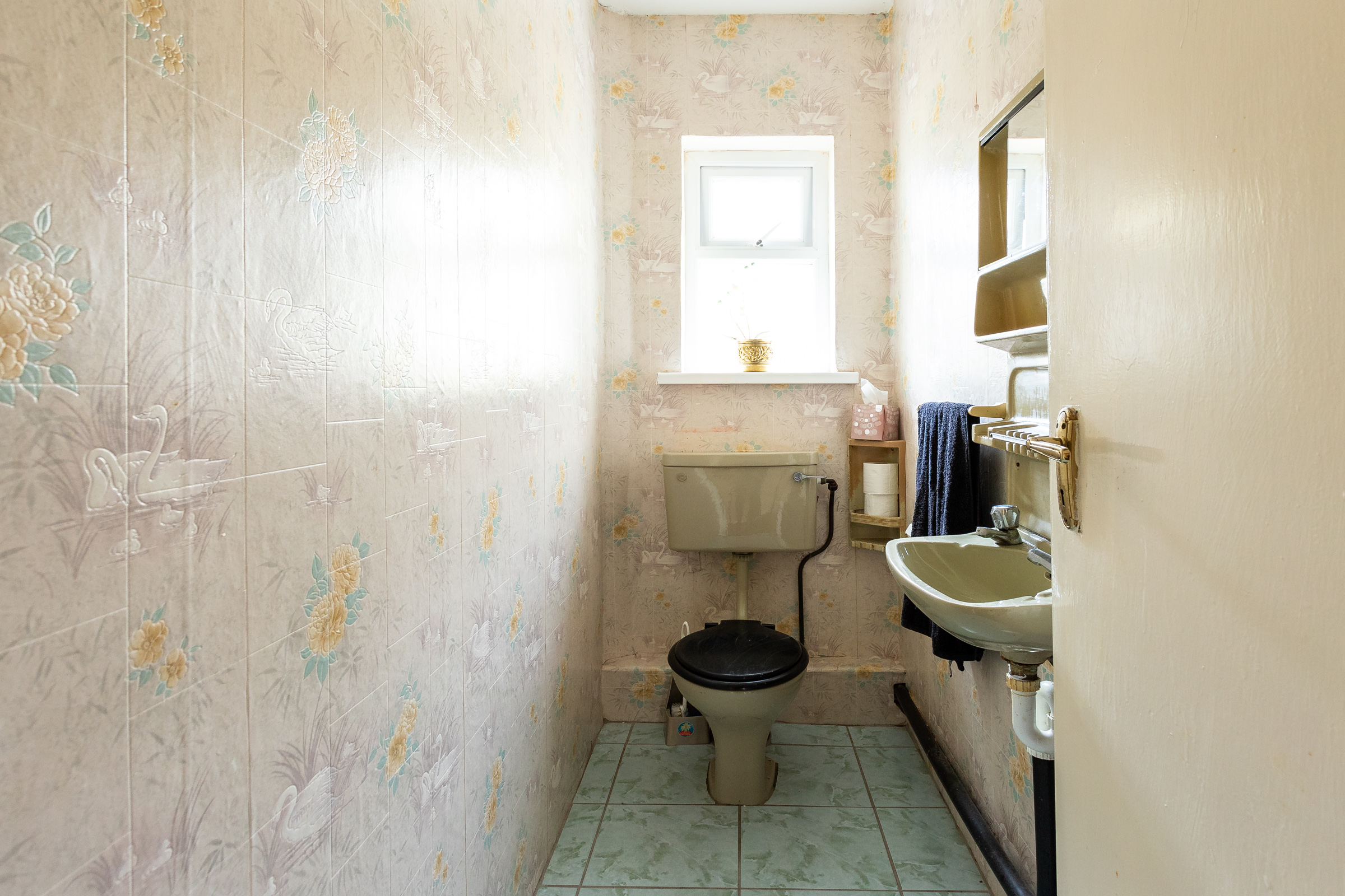 Photo: Niamh Whitty/www.pictureitsold.ie