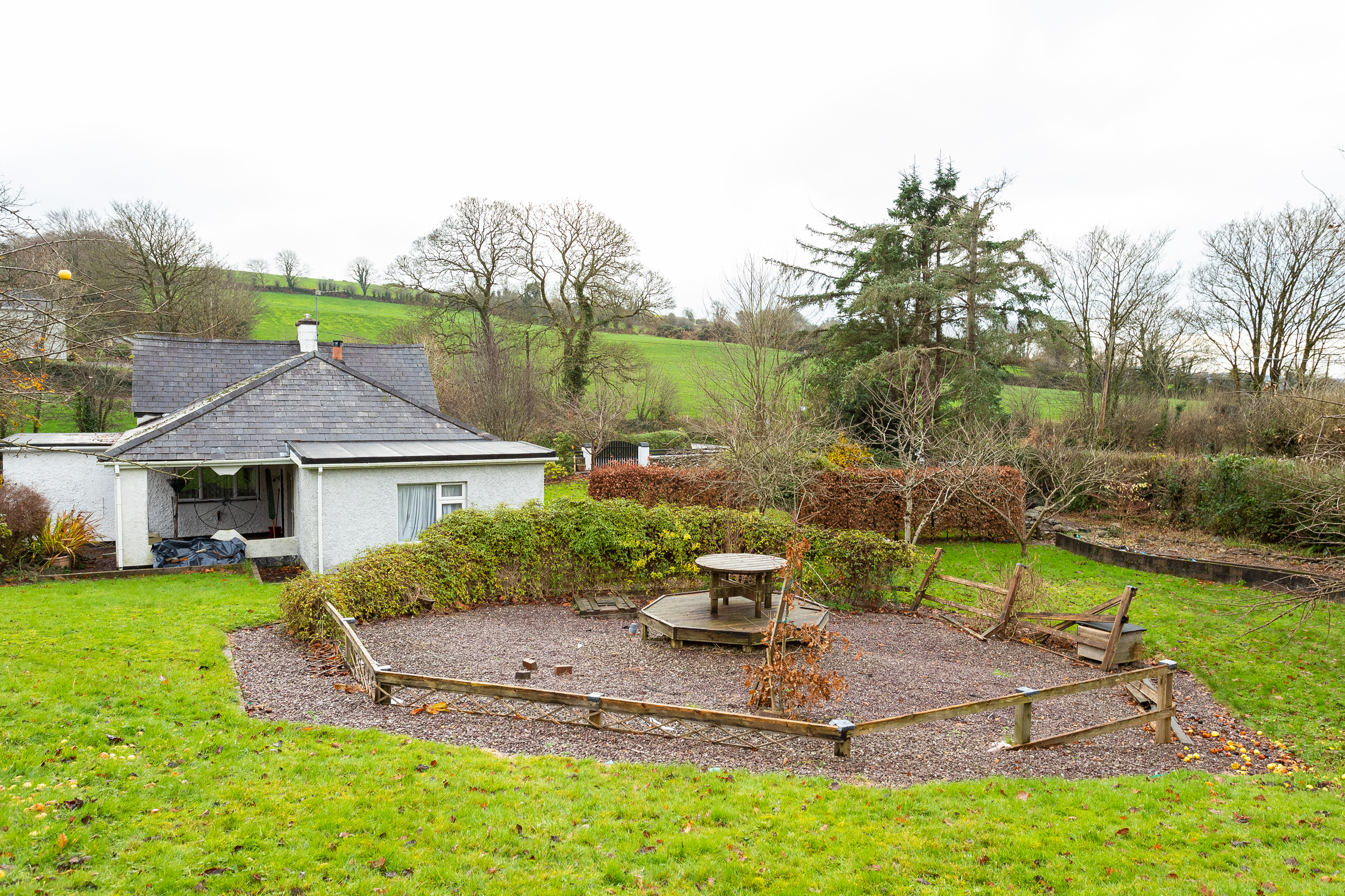Photo: Niamh Whitty/www.pictureitsold.ie