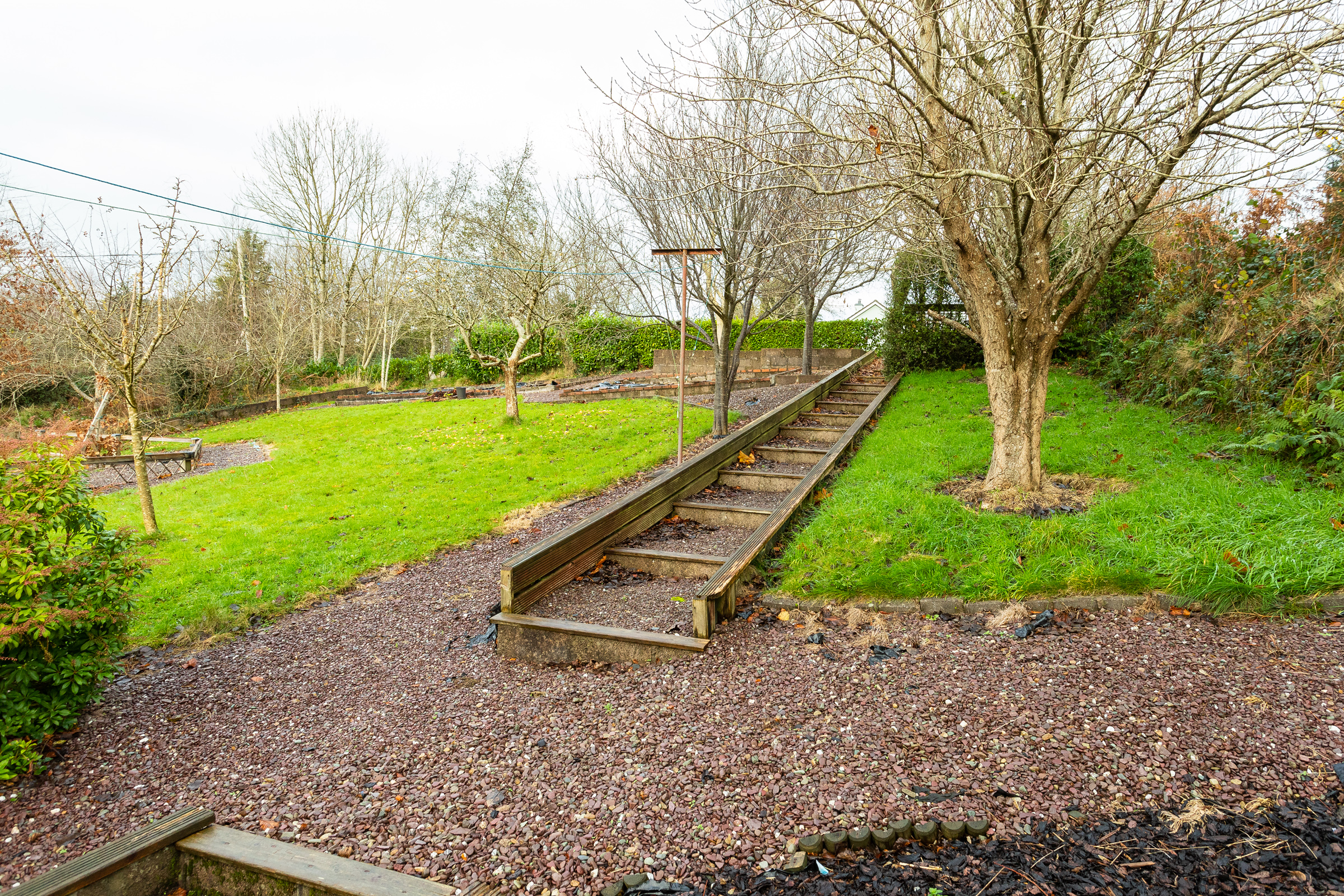 Photo: Niamh Whitty/www.pictureitsold.ie