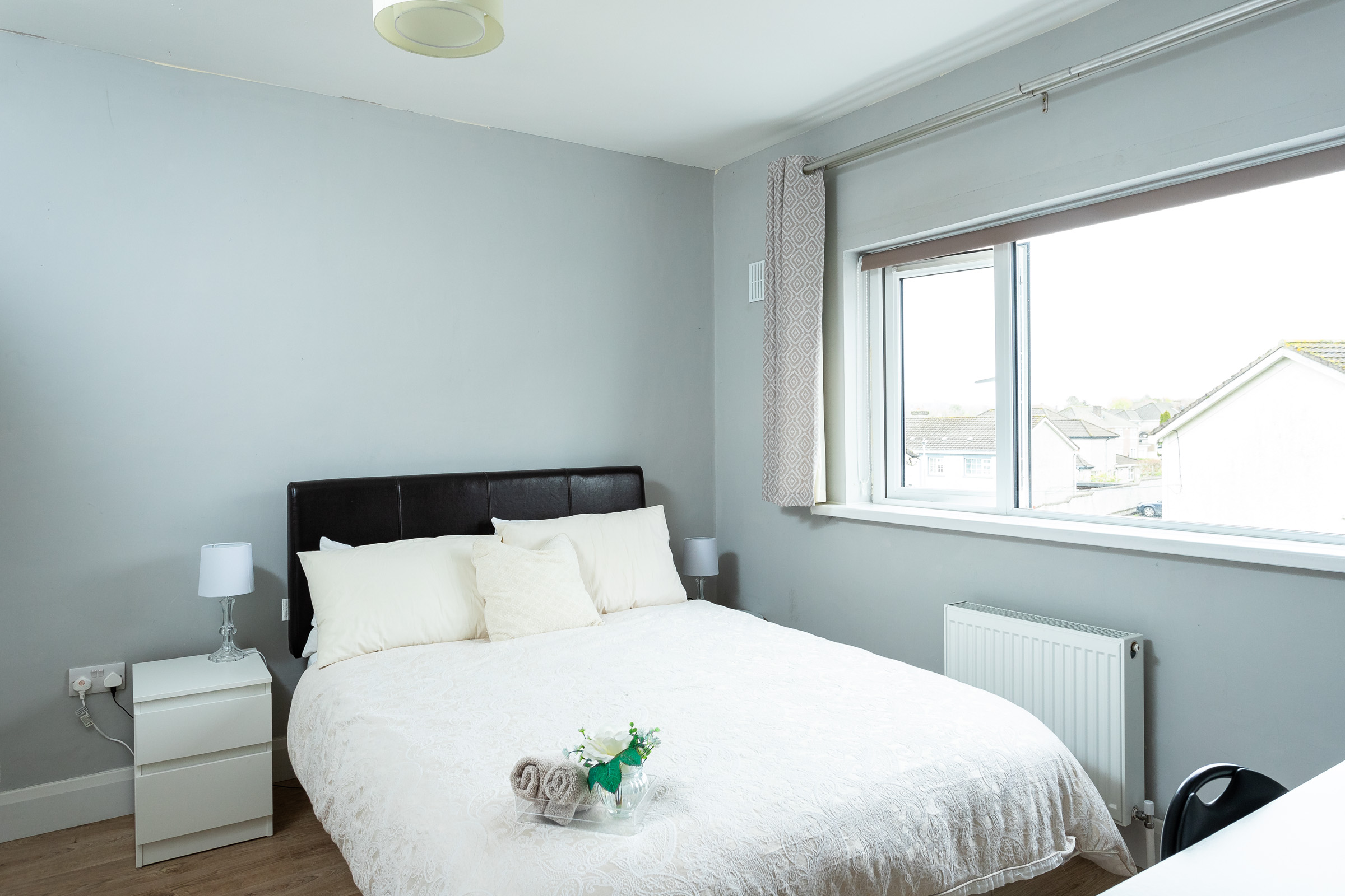 Photo: Niamh Whitty/www.pictureitsold.ie