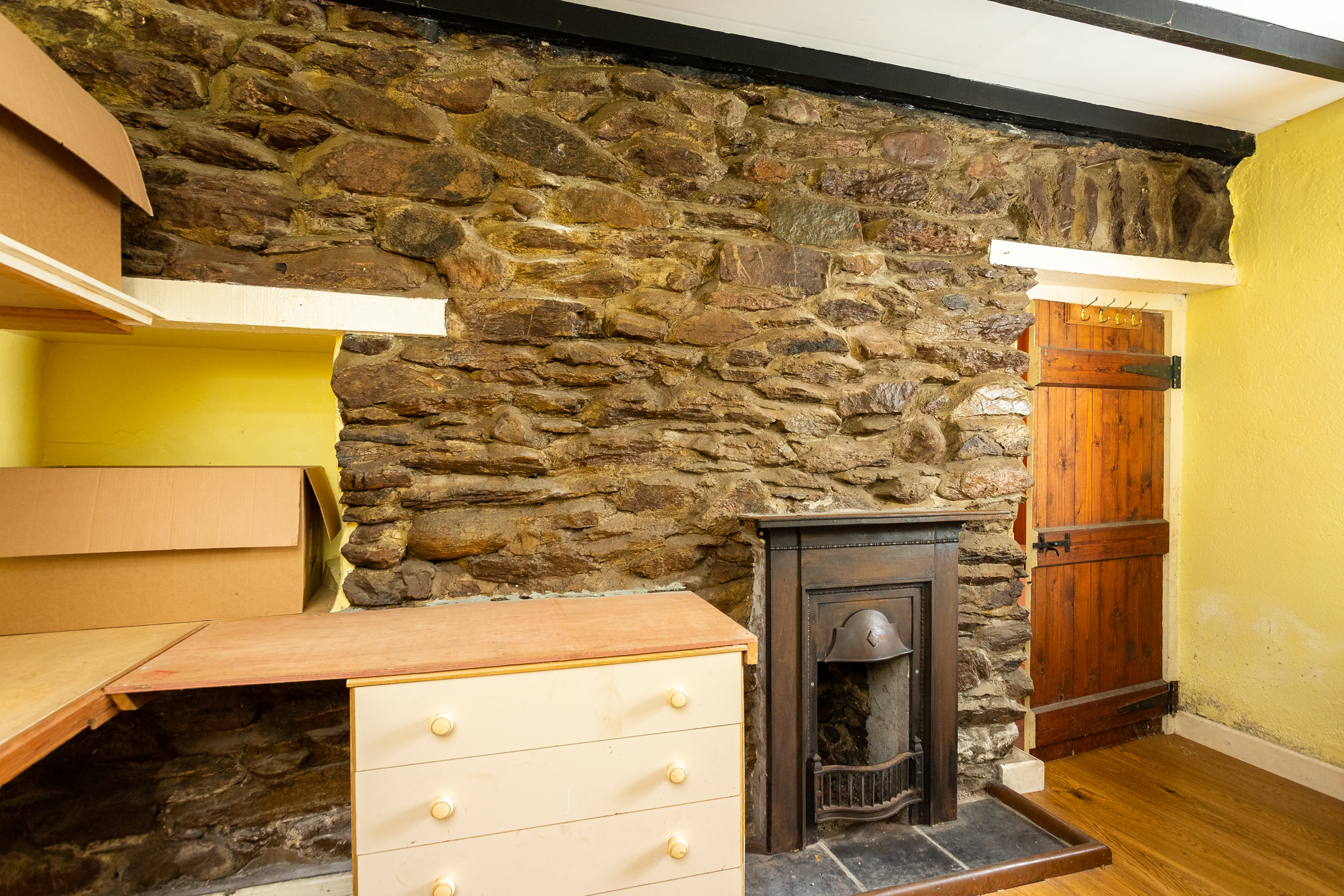 Photo: Niamh Whitty/www.pictureitsold.ie