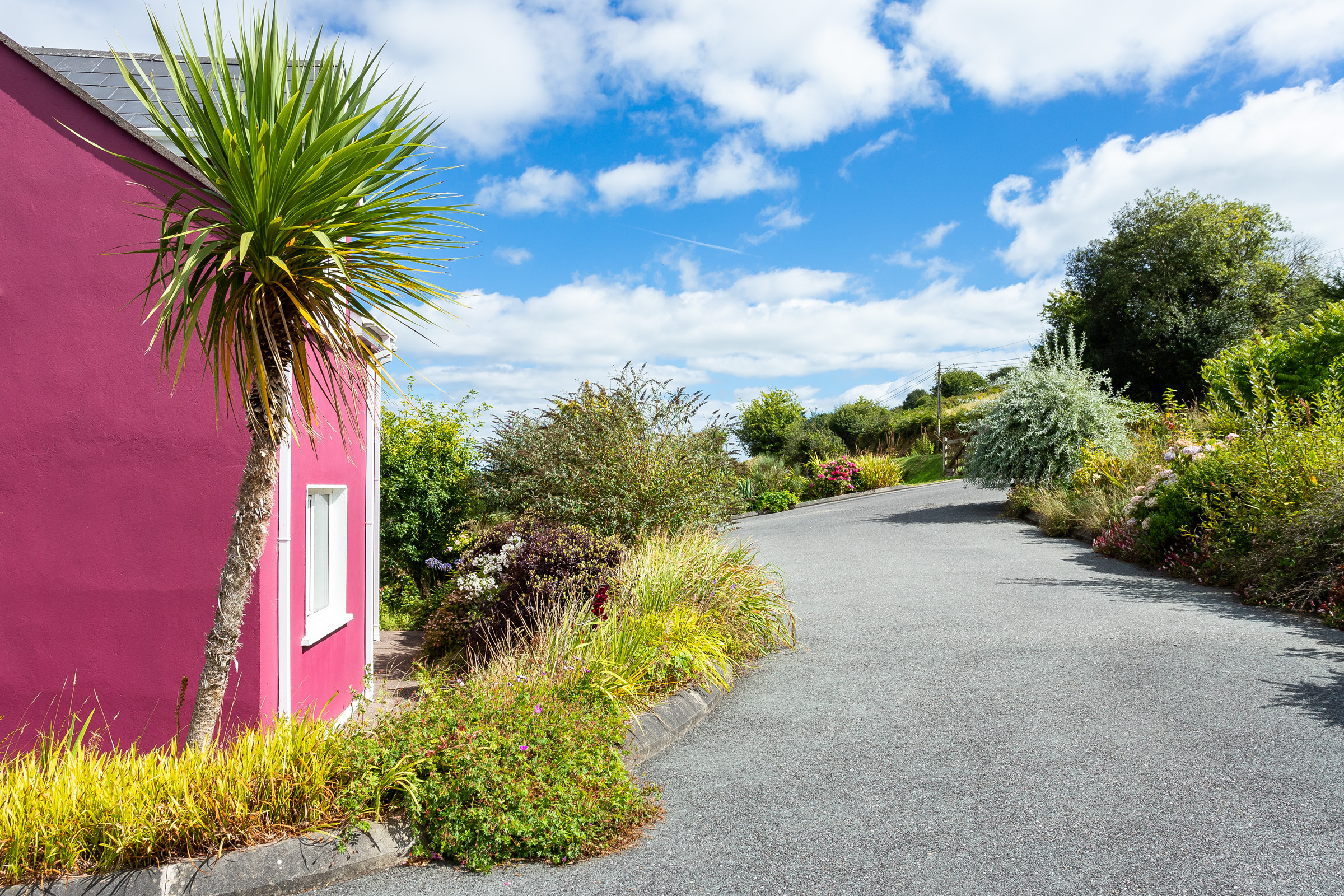 Photo: Niamh Whitty/www.pictureitsold.ie