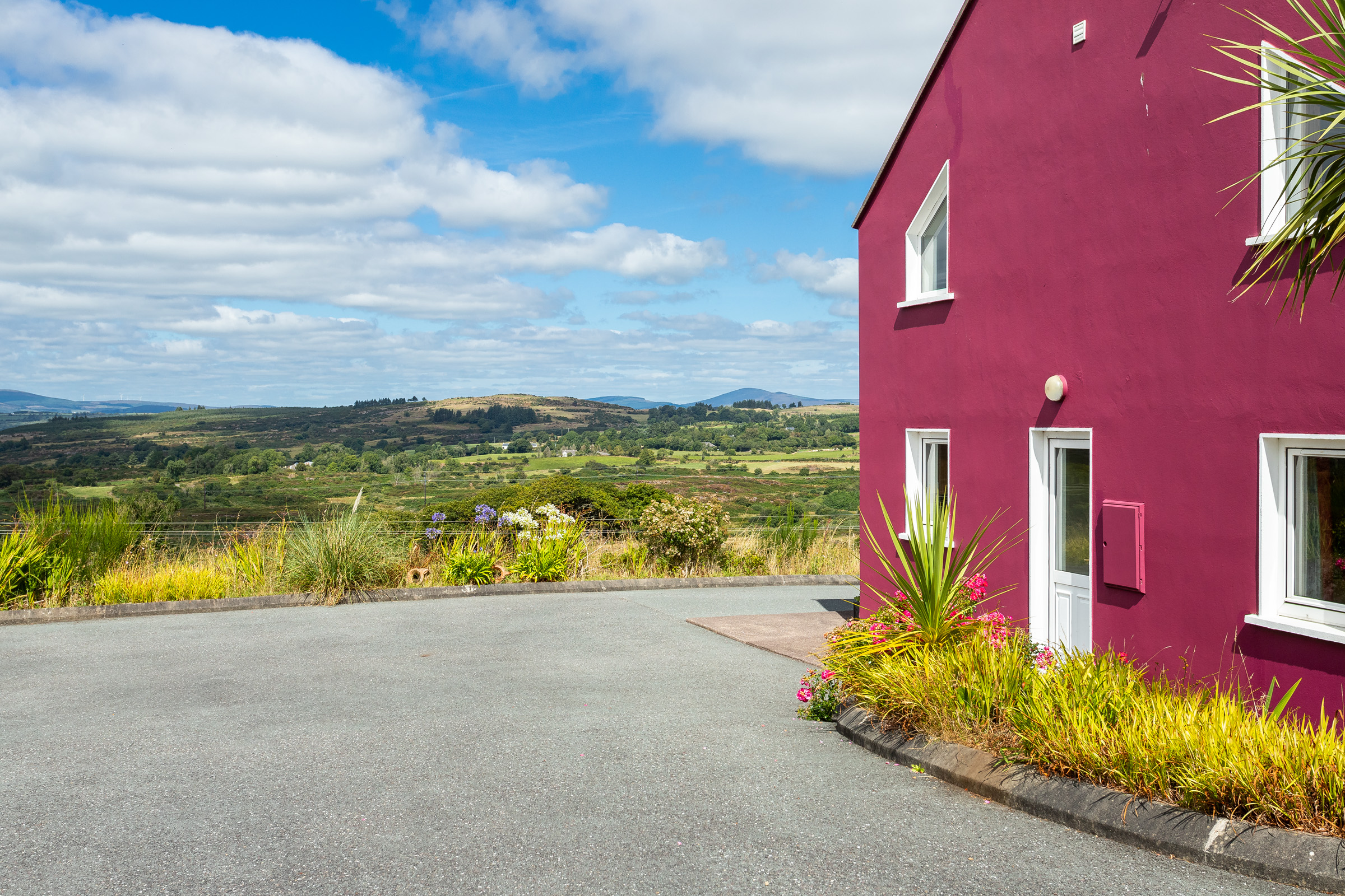 Photo: Niamh Whitty/www.pictureitsold.ie