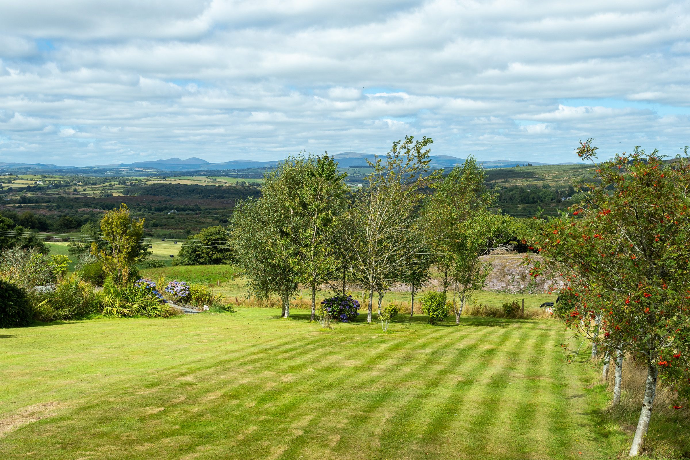 Photo: Niamh Whitty/www.pictureitsold.ie