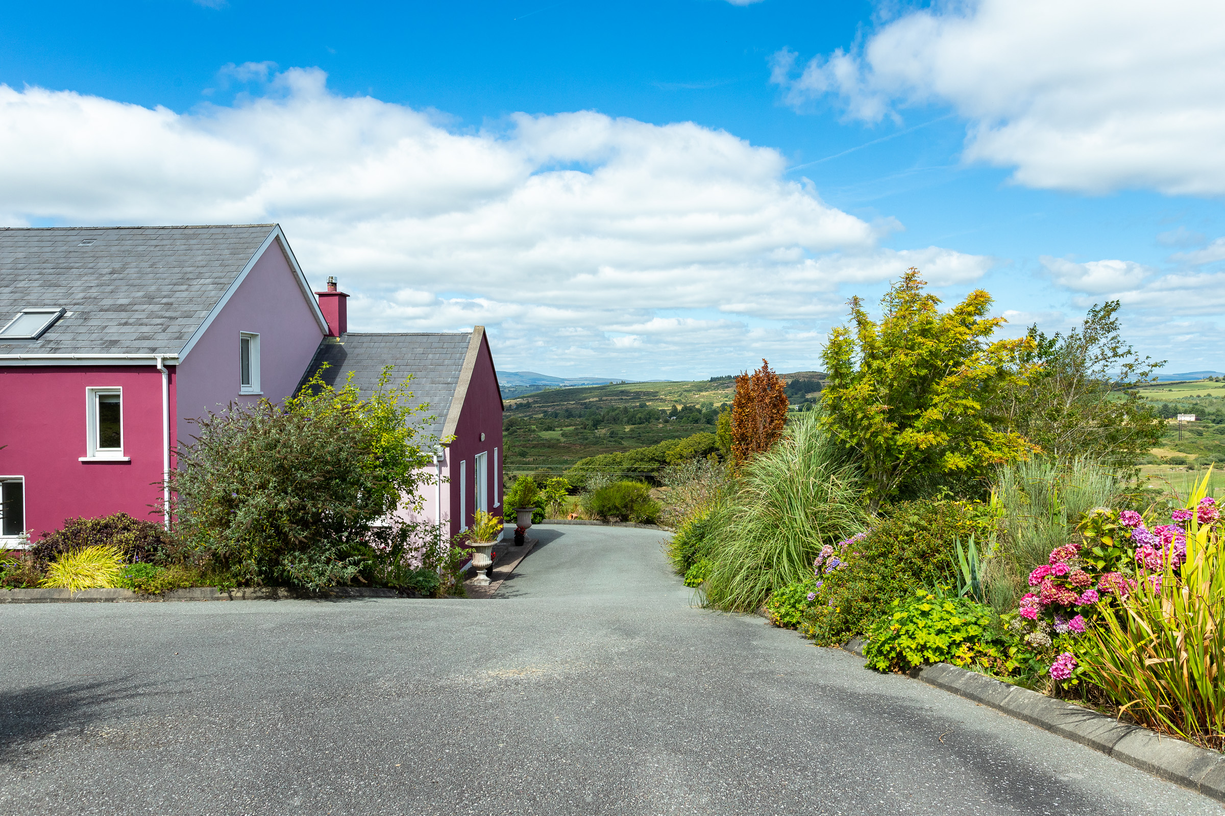 Photo: Niamh Whitty/www.pictureitsold.ie