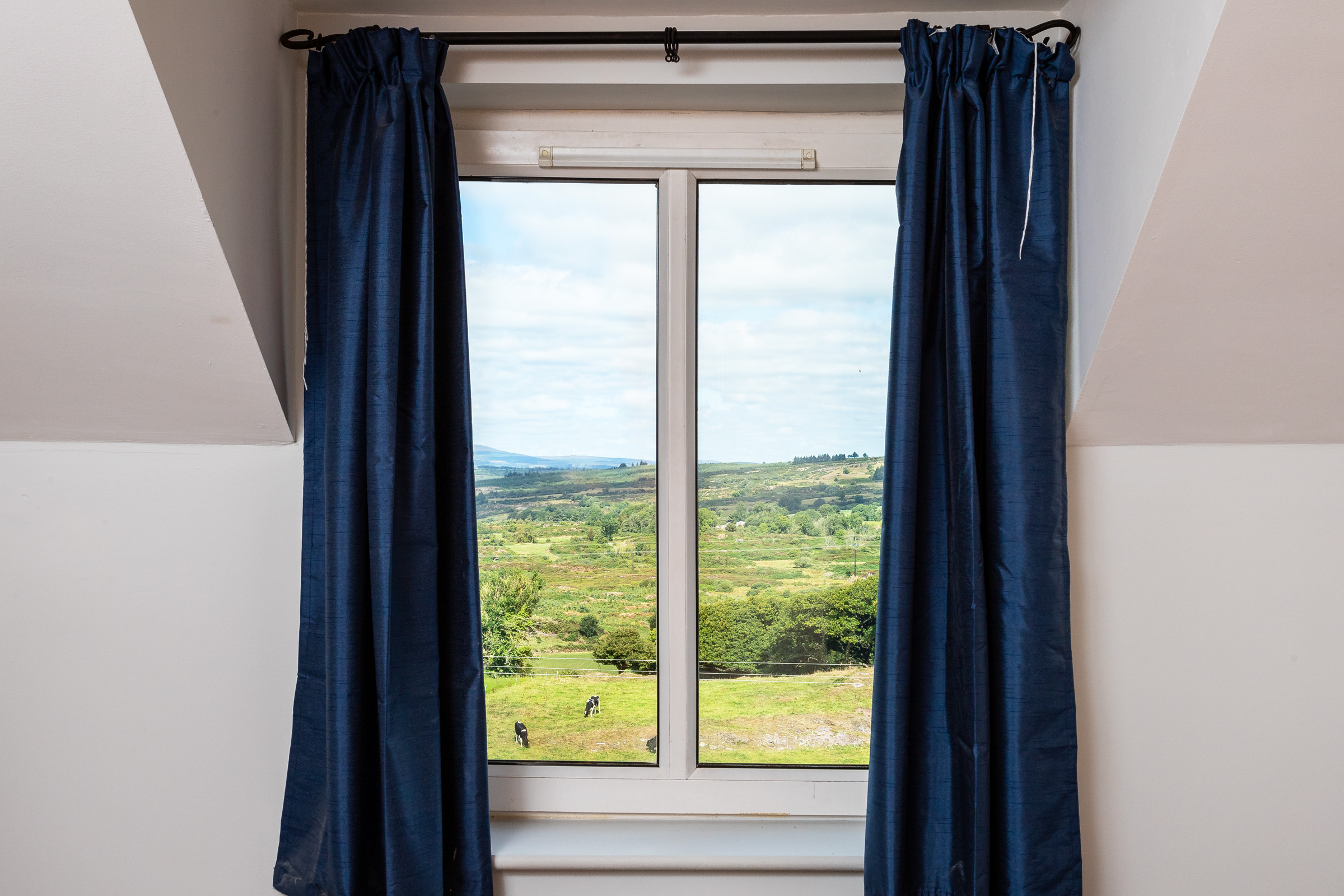 Photo: Niamh Whitty/www.pictureitsold.ie