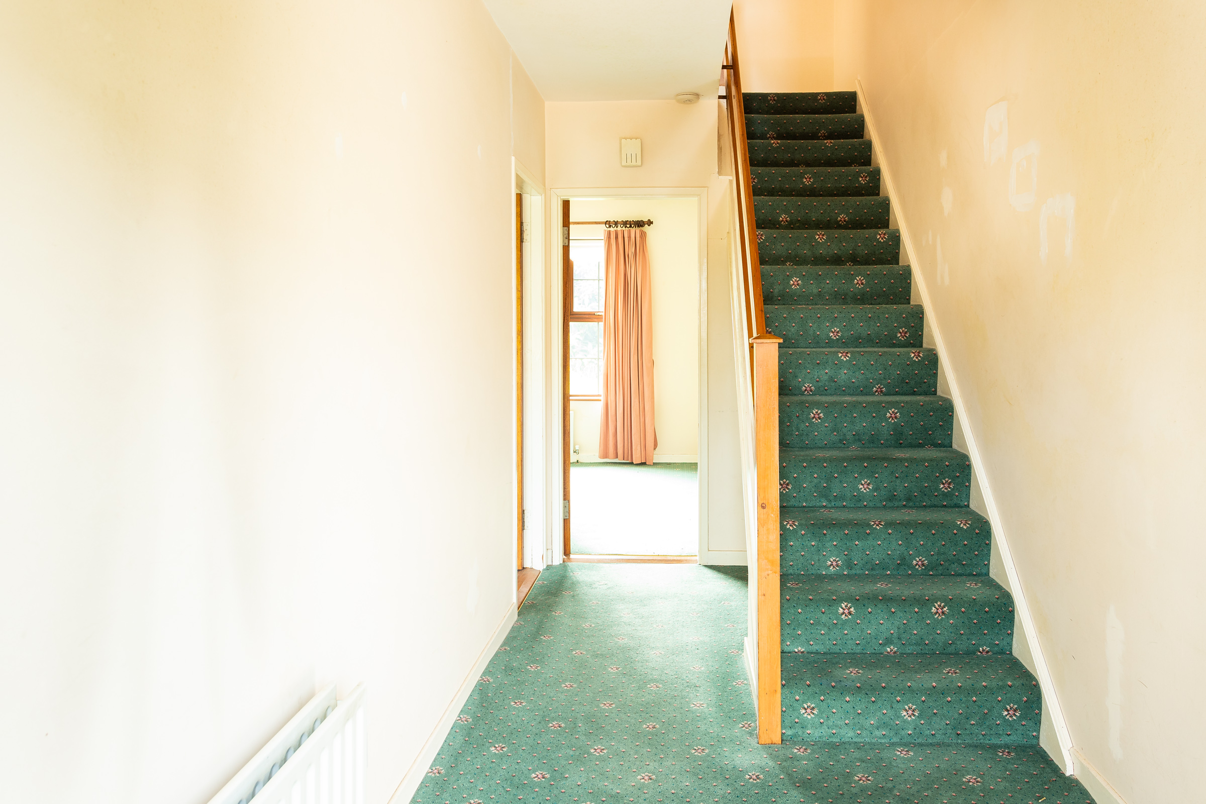 Photo: Niamh Whitty/www.pictureitsold.ie