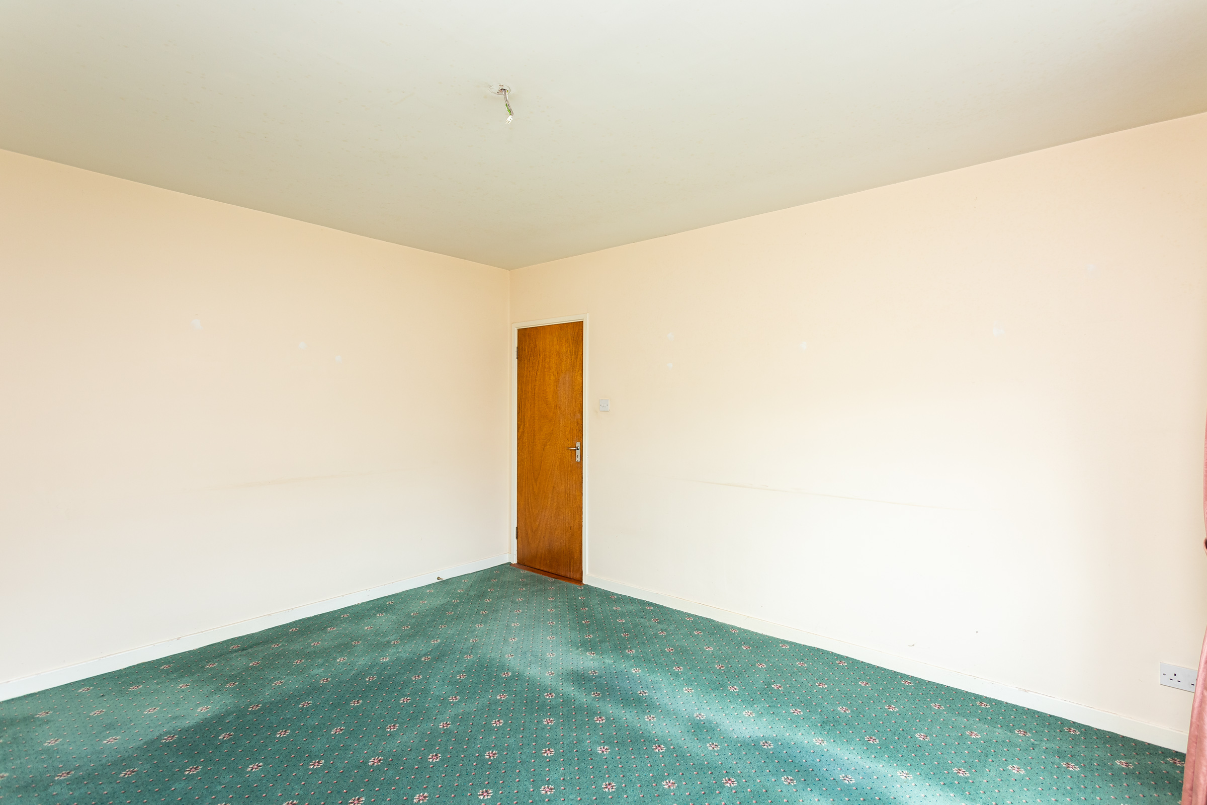 Photo: Niamh Whitty/www.pictureitsold.ie