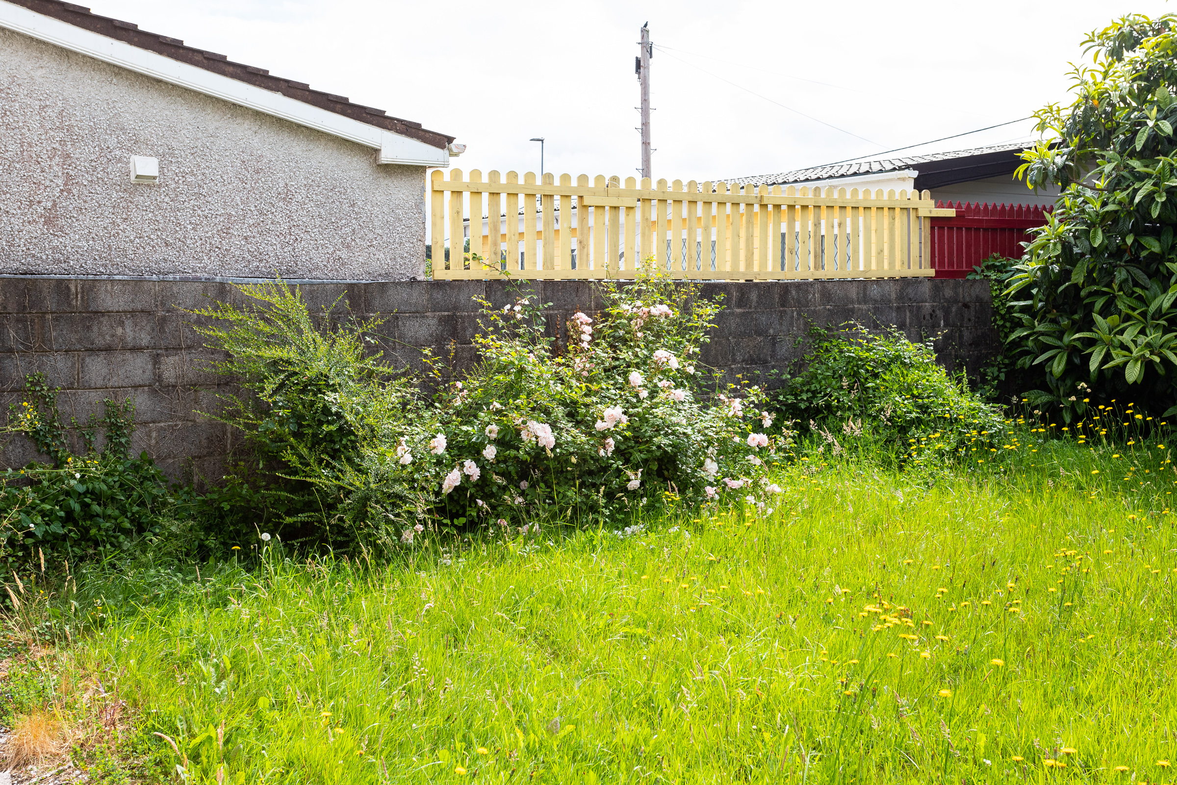 Photo: Niamh Whitty/www.pictureitsold.ie