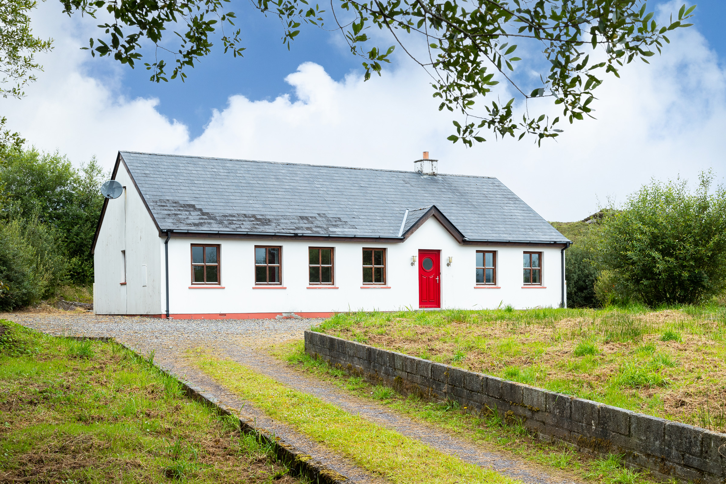 Photo: Niamh Whitty/www.pictureitsold.ie