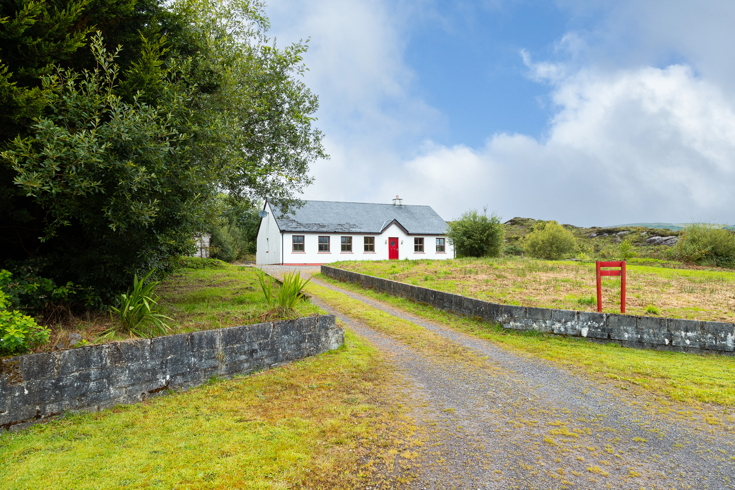 Photo: Niamh Whitty/www.pictureitsold.ie