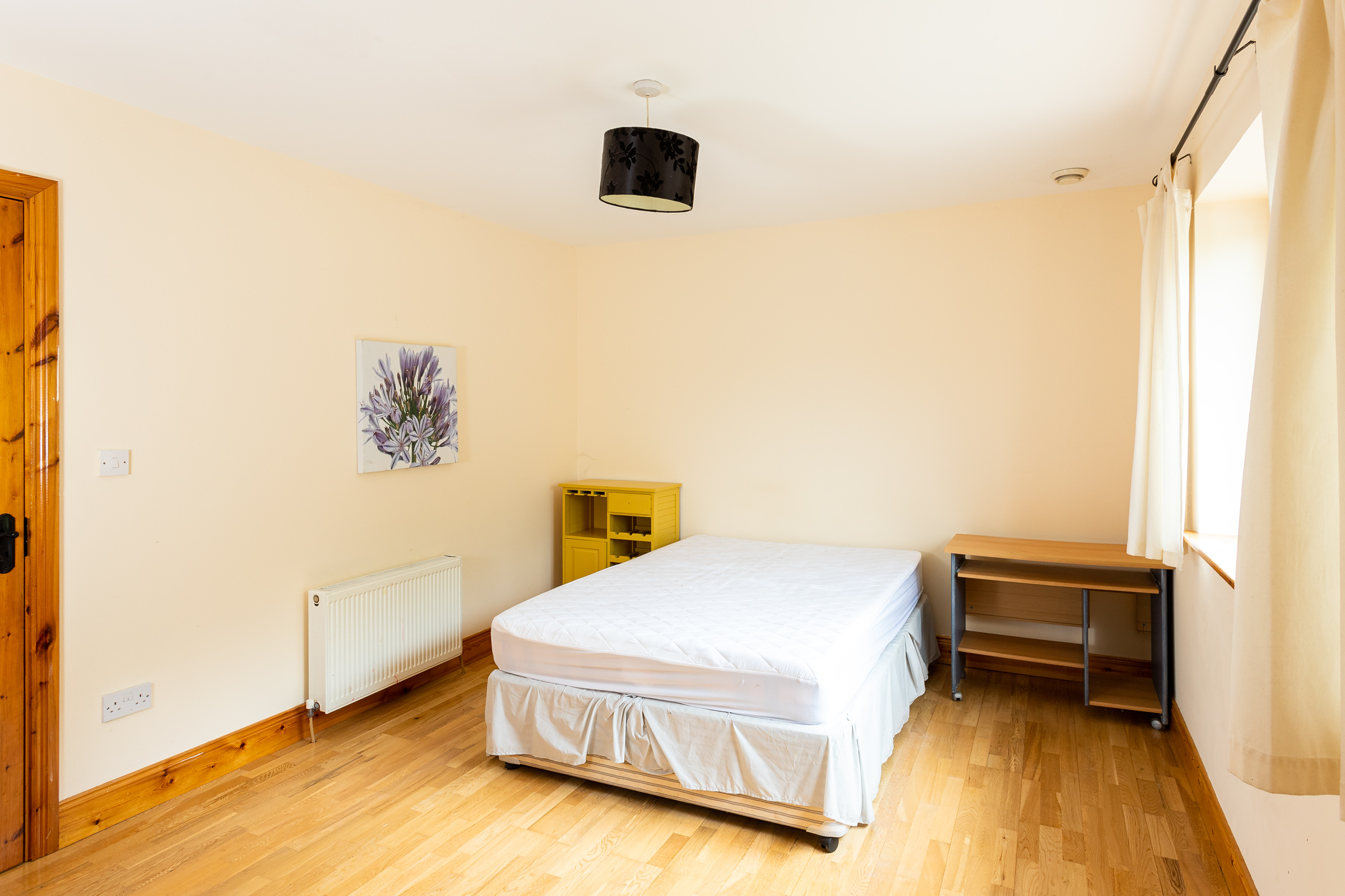 Photo: Niamh Whitty/www.pictureitsold.ie