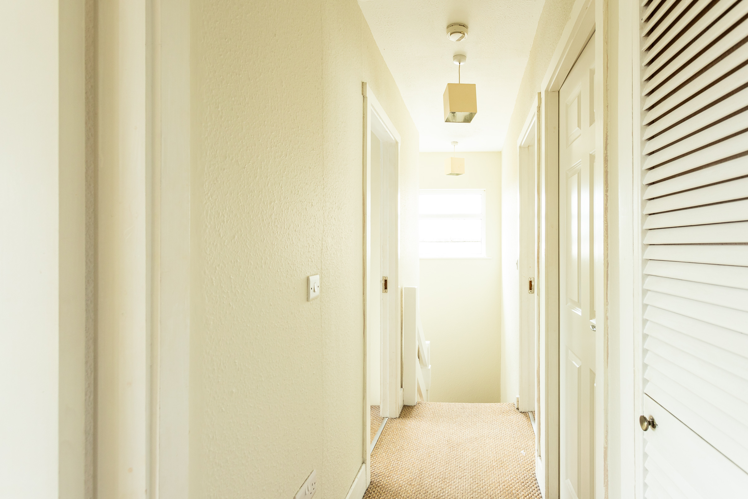 Photo: Niamh Whitty/www.pictureitsold.ie