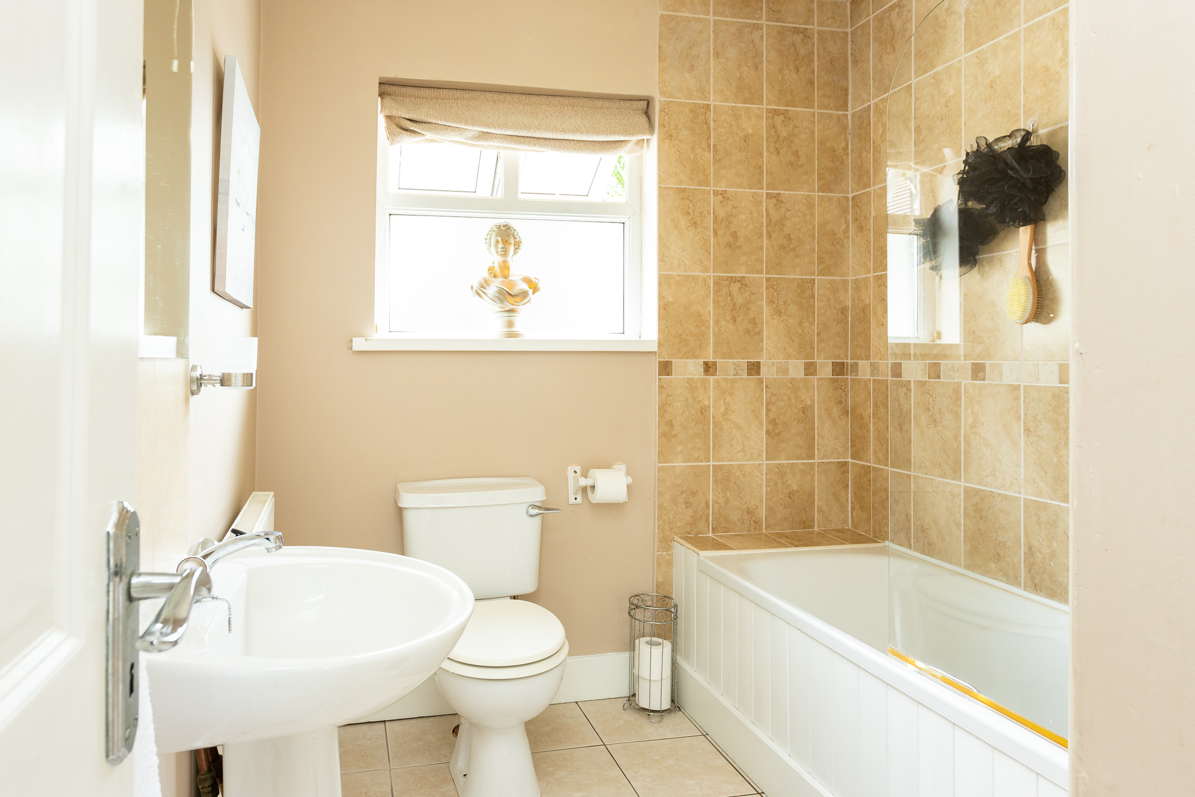 Photo: Niamh Whitty/www.pictureitsold.ie