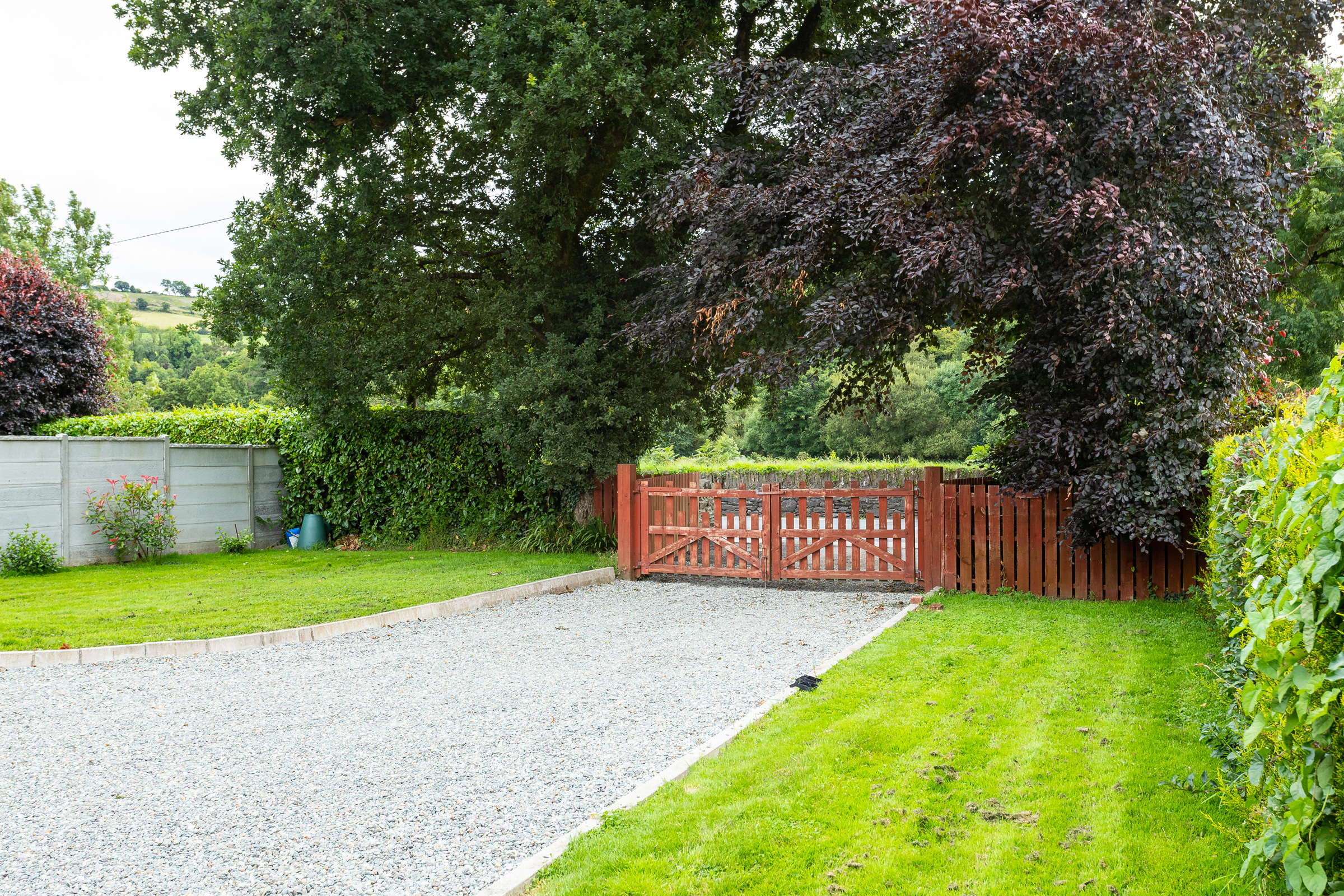 Photo: Niamh Whitty/www.pictureitsold.ie