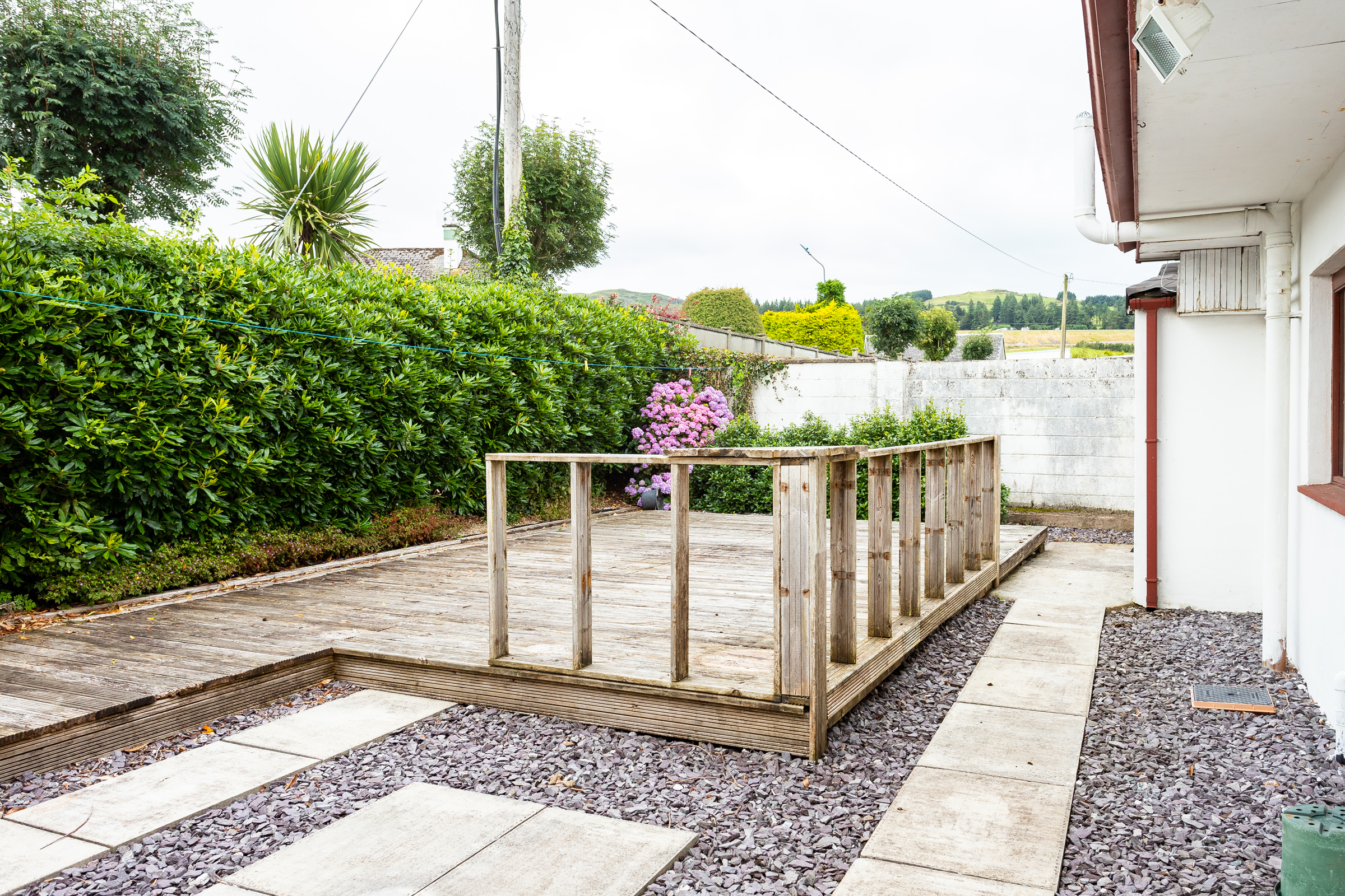 Photo: Niamh Whitty/www.pictureitsold.ie