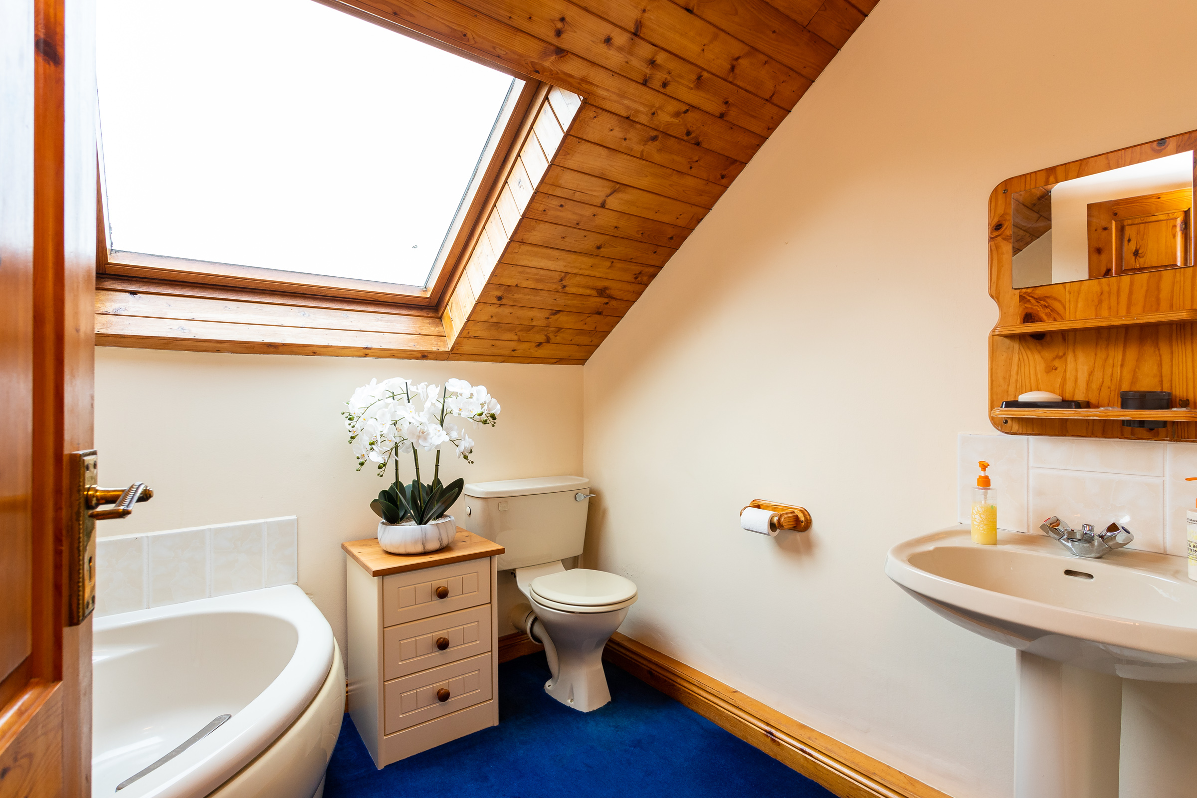Photo: Niamh Whitty/www.pictureitsold.ie