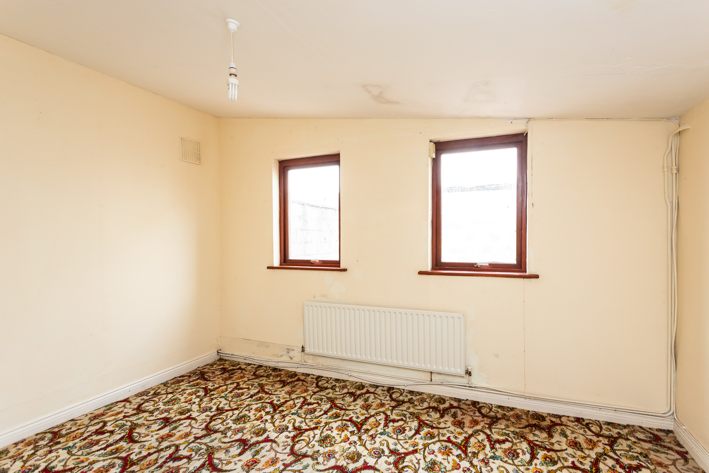 Photo: Niamh Whitty/www.pictureitsold.ie