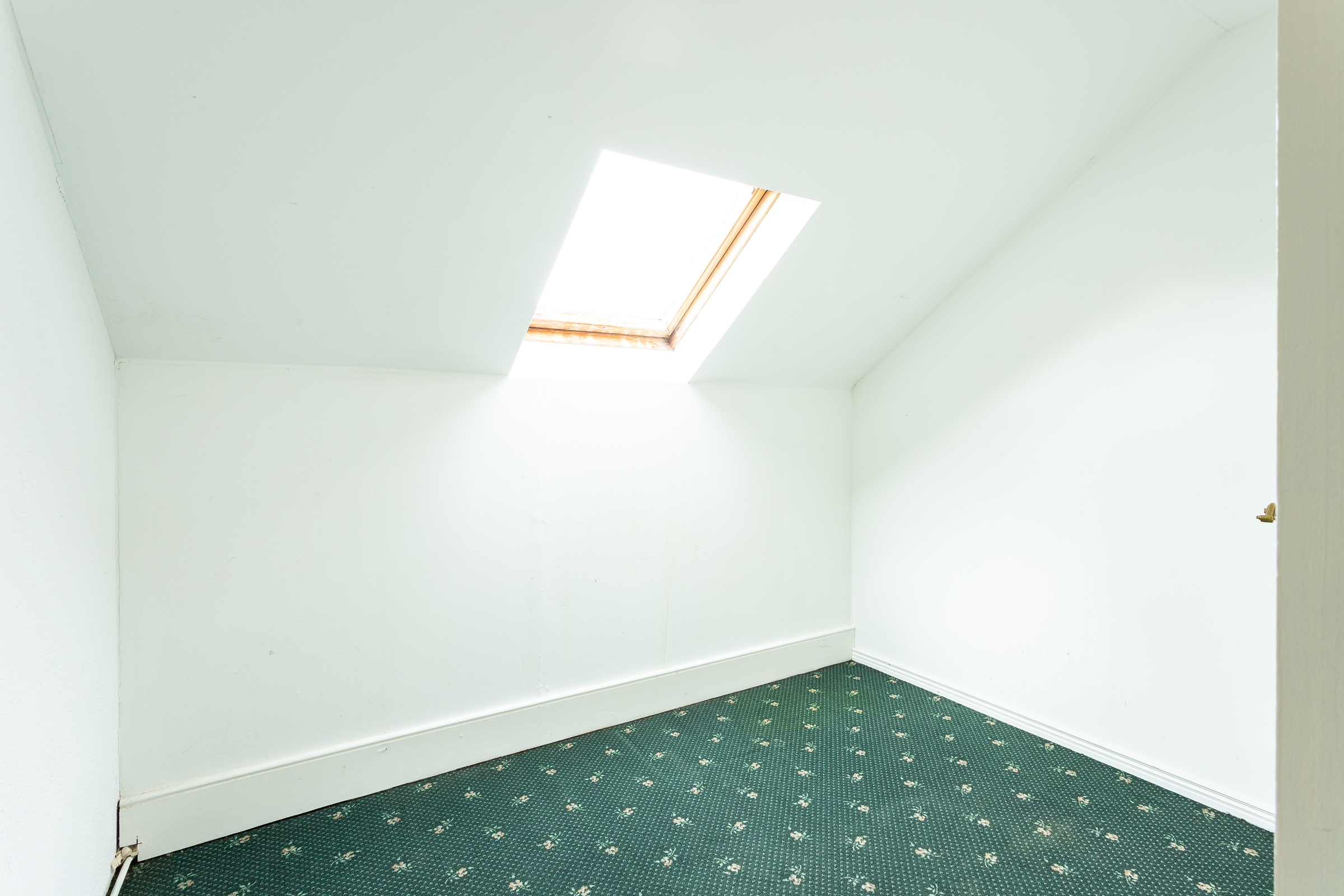 Photo: Niamh Whitty/www.pictureitsold.ie
