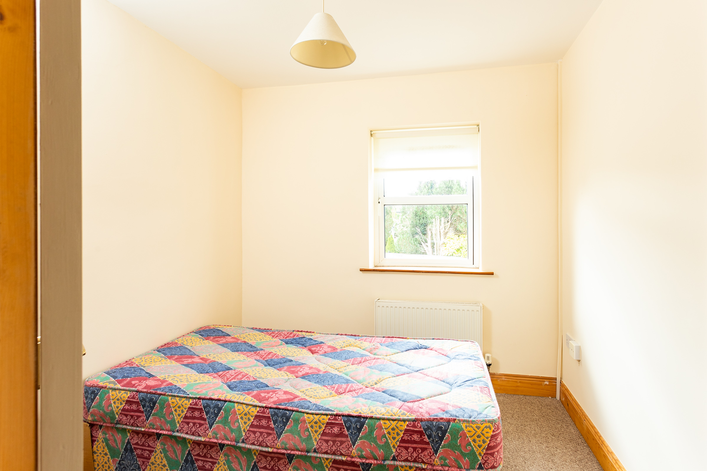 Photo: Niamh Whitty/www.pictureitsold.ie
