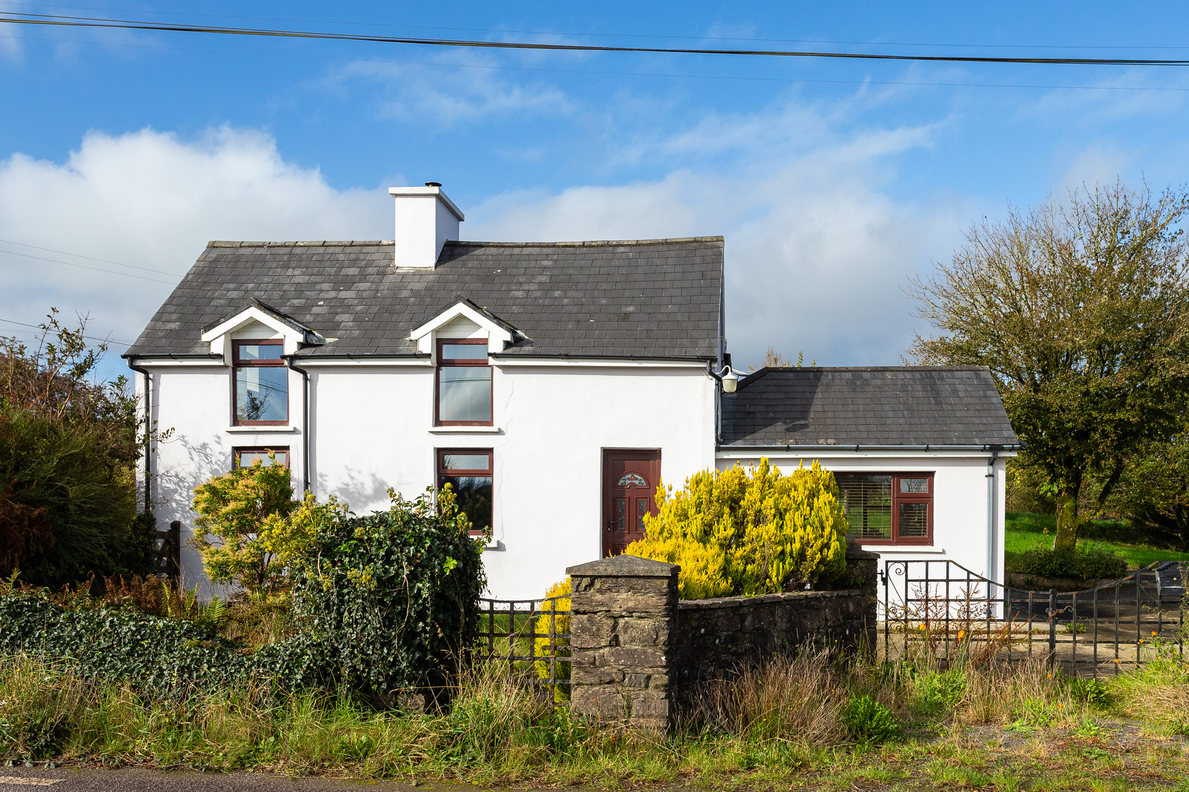 Photo: Niamh Whitty/www.pictureitsold.ie