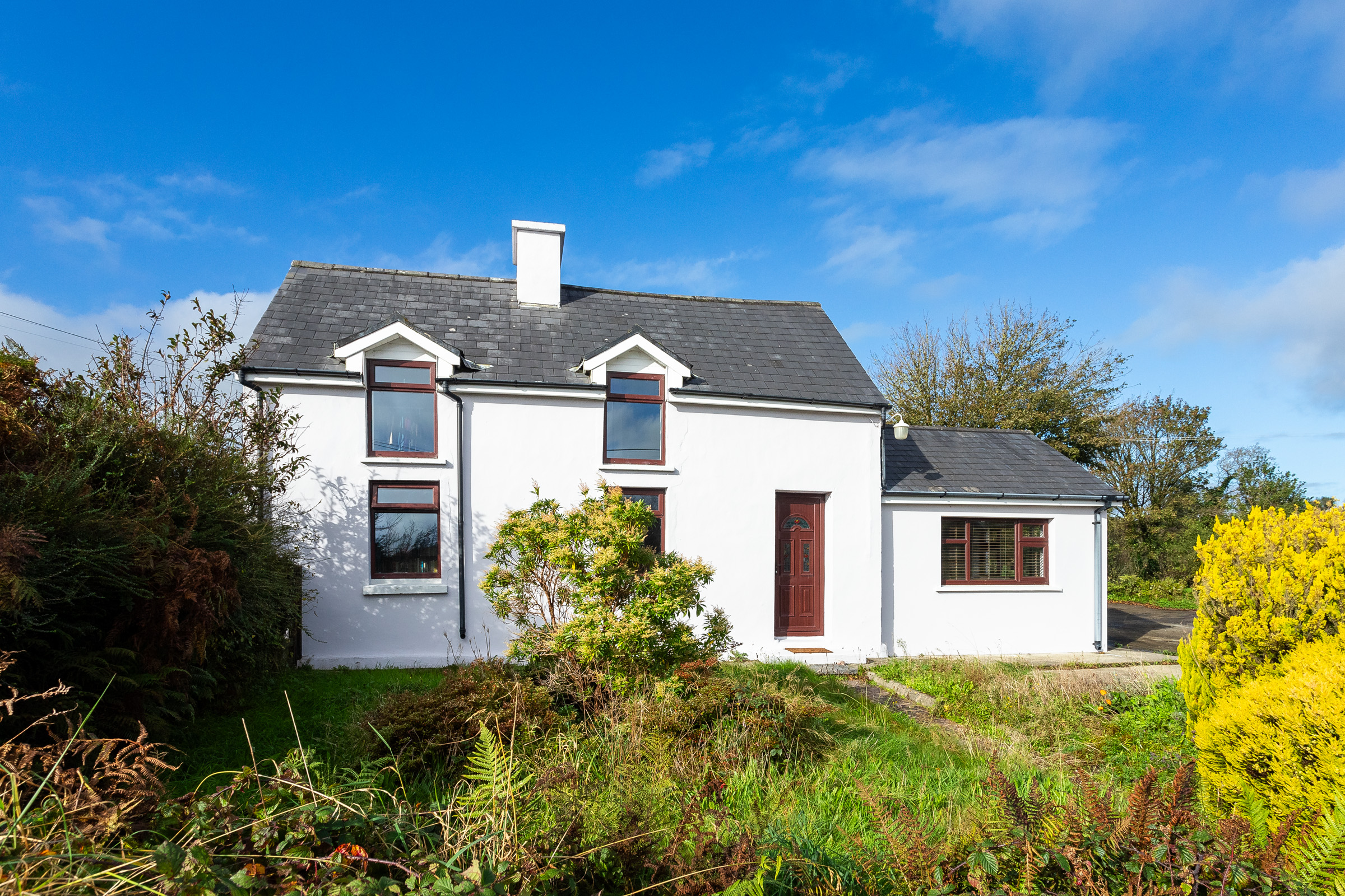 Photo: Niamh Whitty/www.pictureitsold.ie