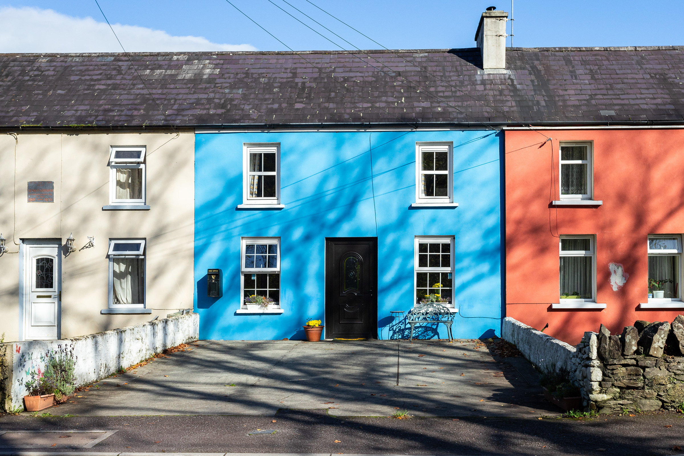 Photo: Niamh Whitty/www.pictureitsold.ie