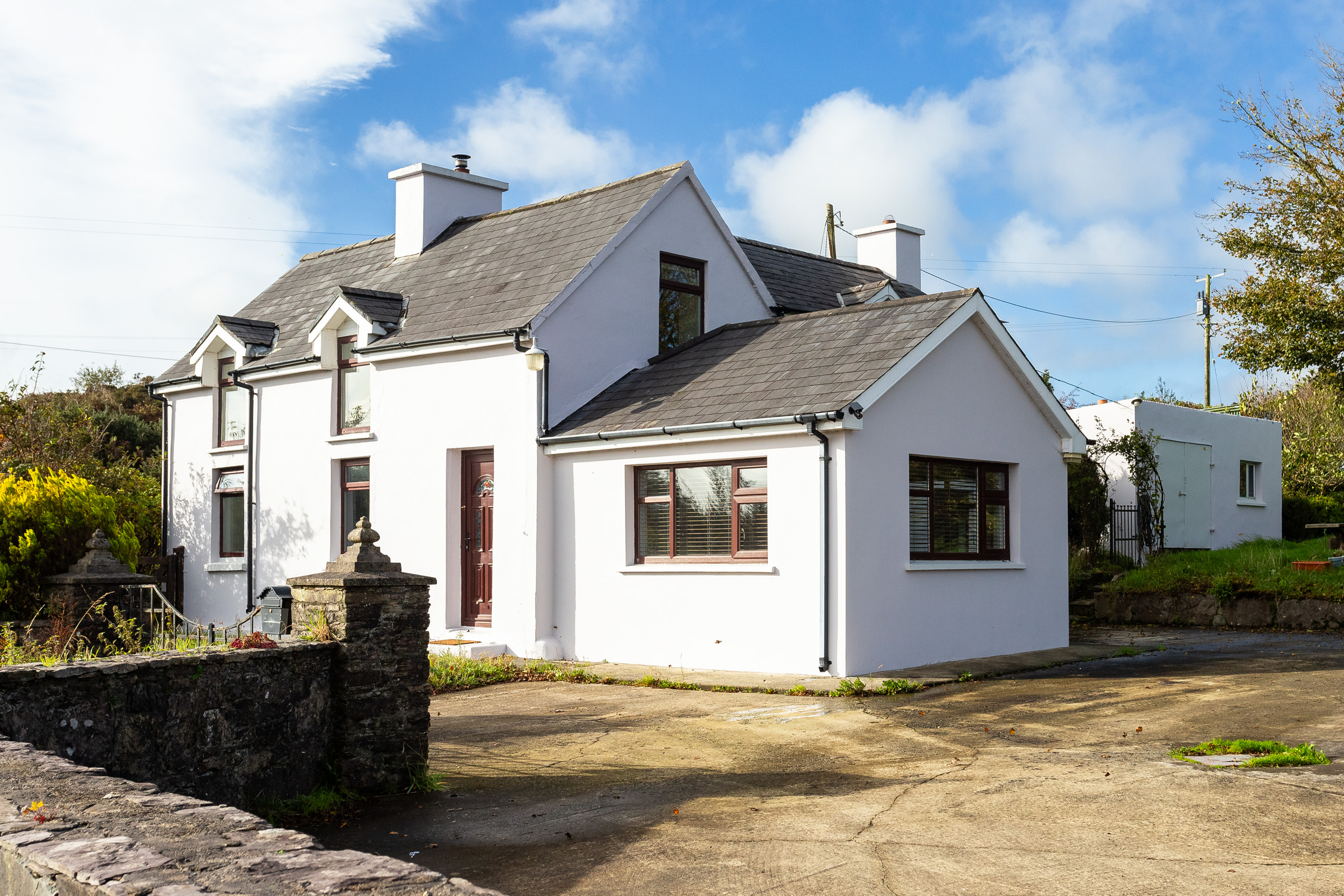 Photo: Niamh Whitty/www.pictureitsold.ie