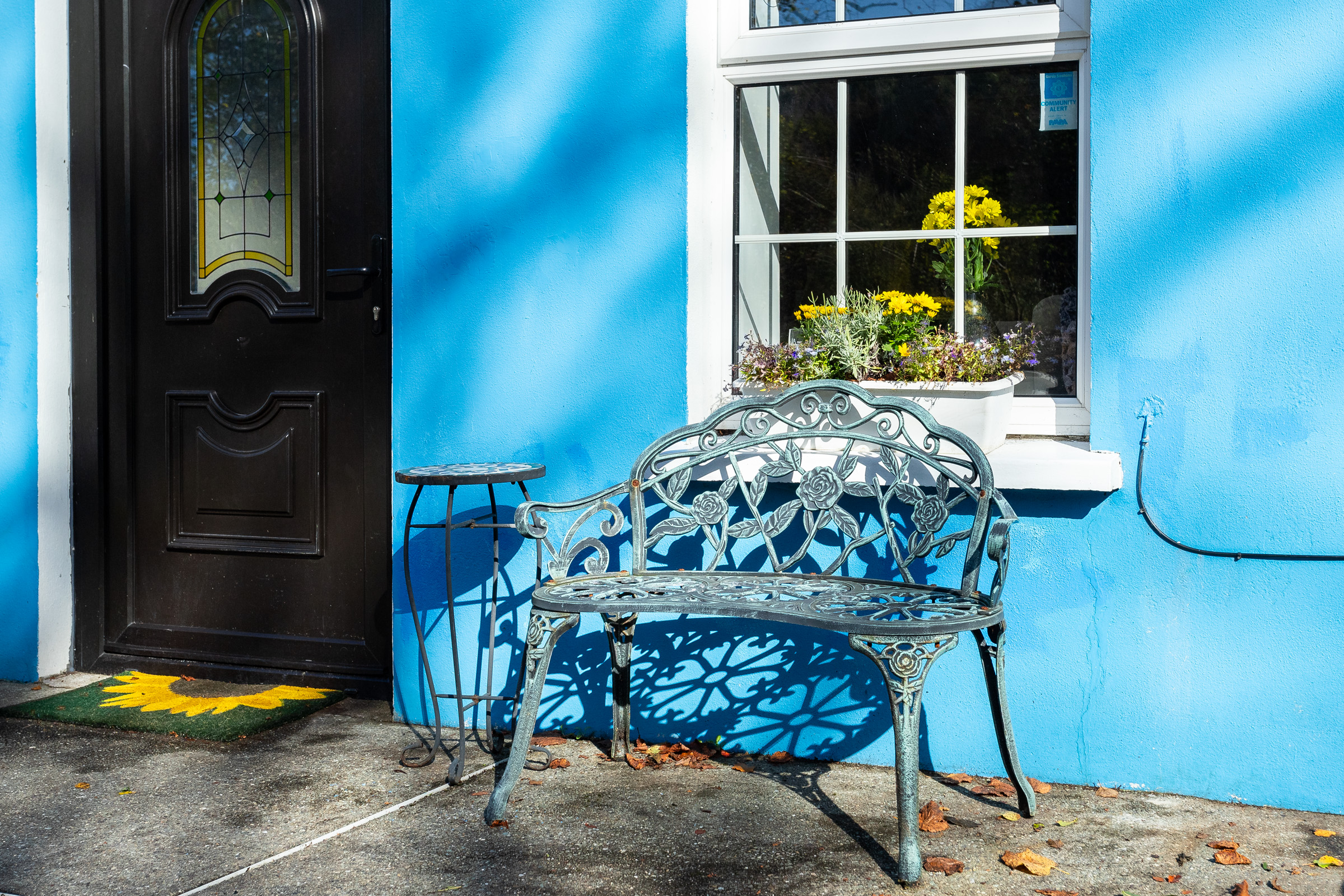 Photo: Niamh Whitty/www.pictureitsold.ie