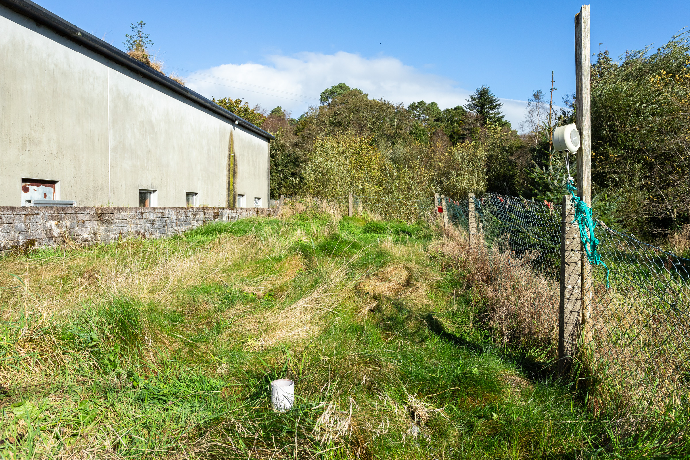 Photo: Niamh Whitty/www.pictureitsold.ie