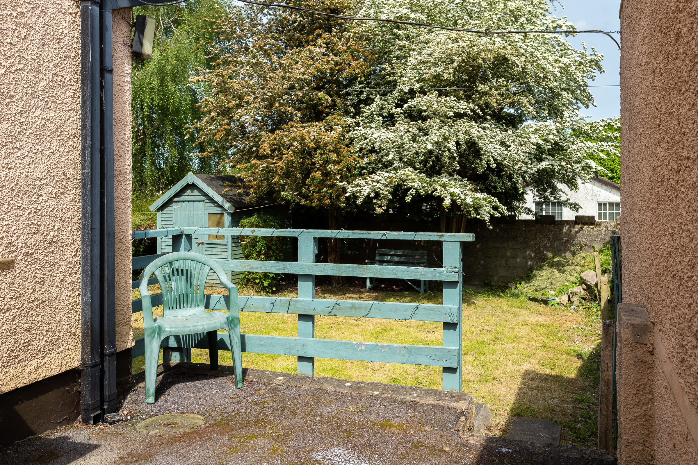 Photo: Niamh Whitty/www.pictureitsold.ie
