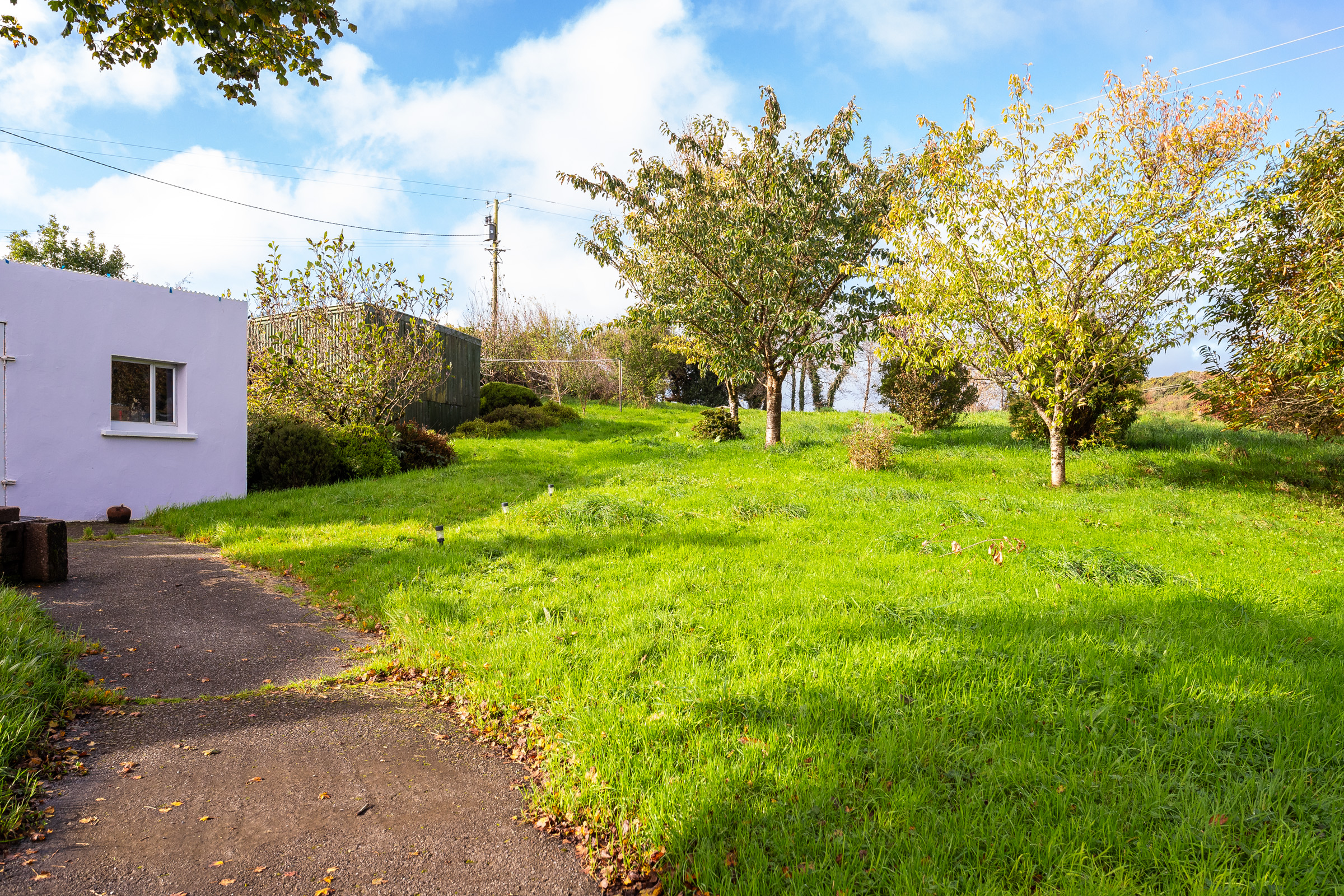 Photo: Niamh Whitty/www.pictureitsold.ie