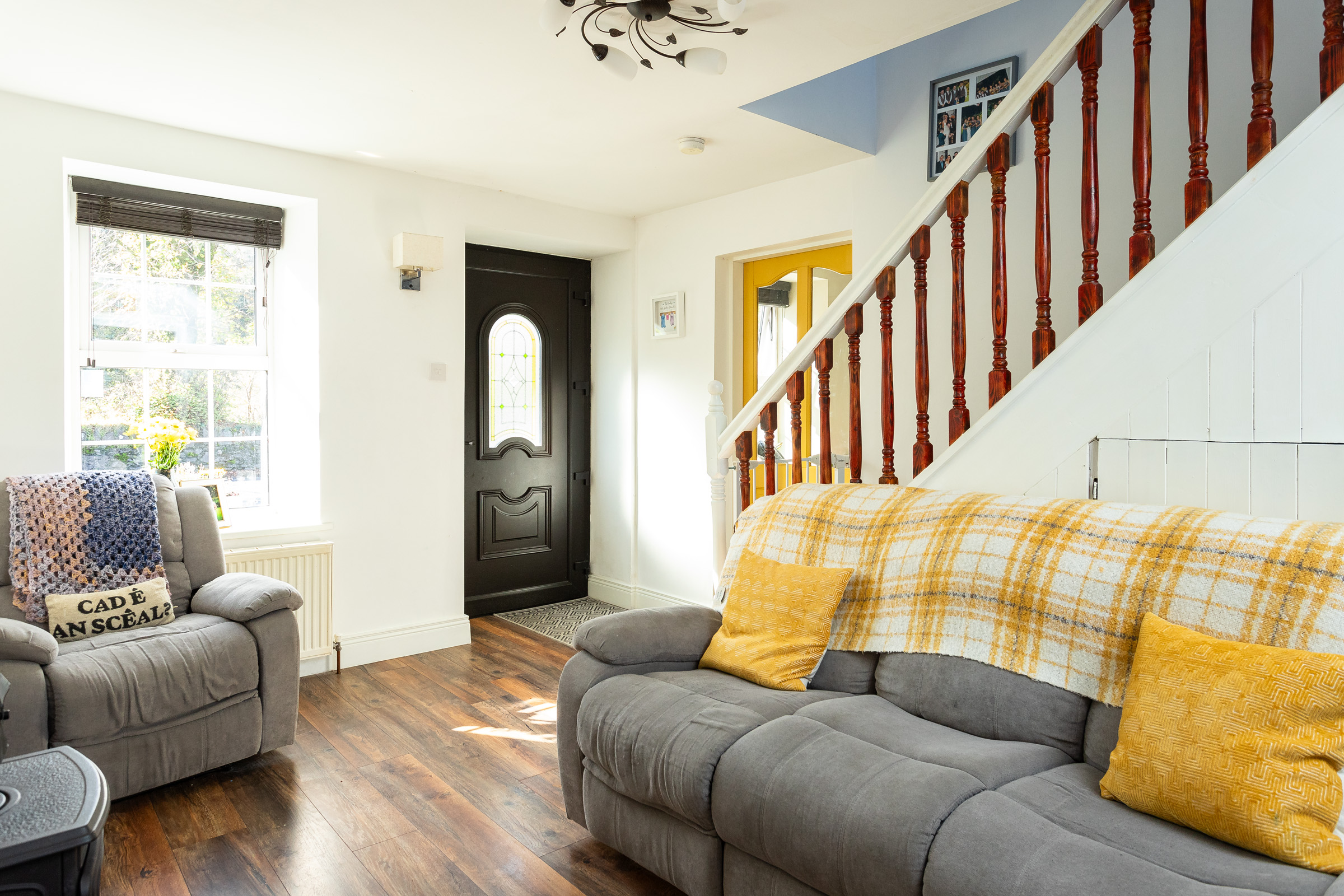 Photo: Niamh Whitty/www.pictureitsold.ie
