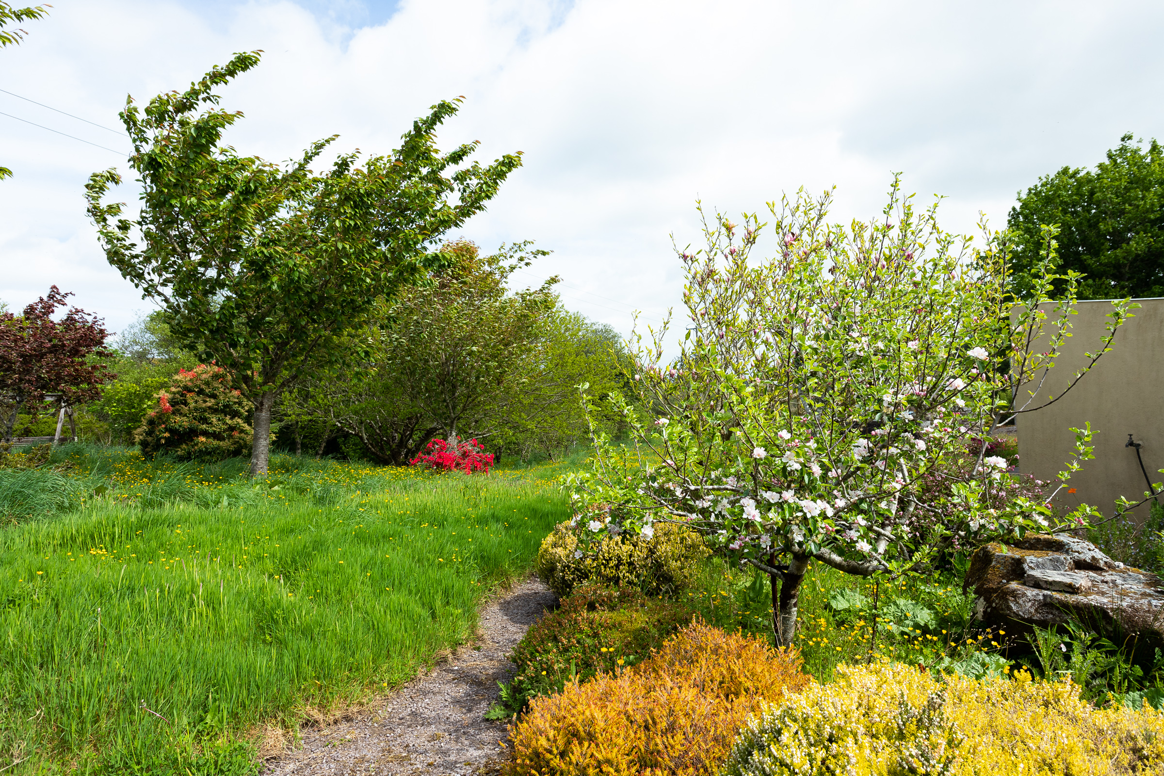 Photo: Niamh Whitty/www.pictureitsold.ie